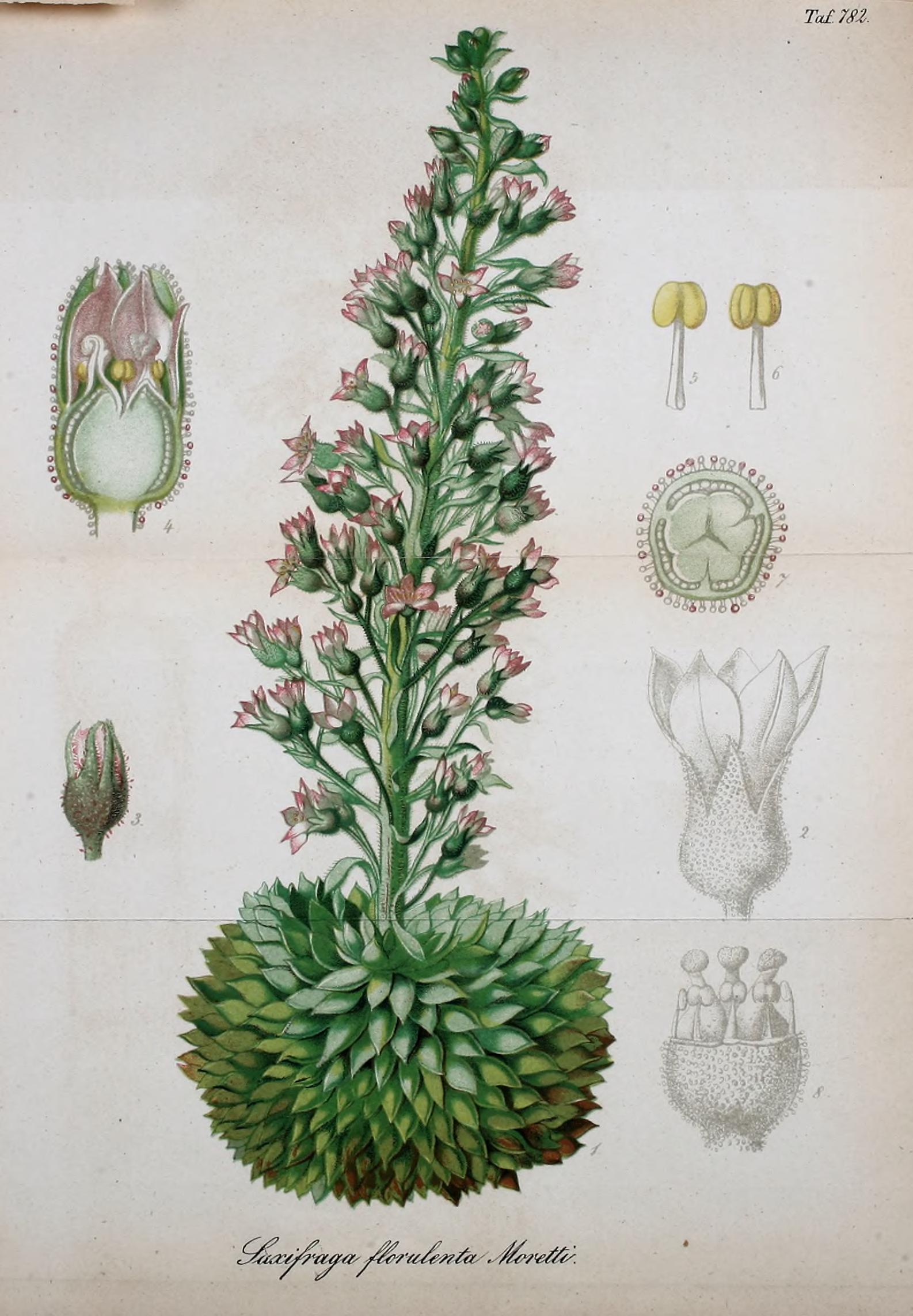 no full size  illustration available (3a)