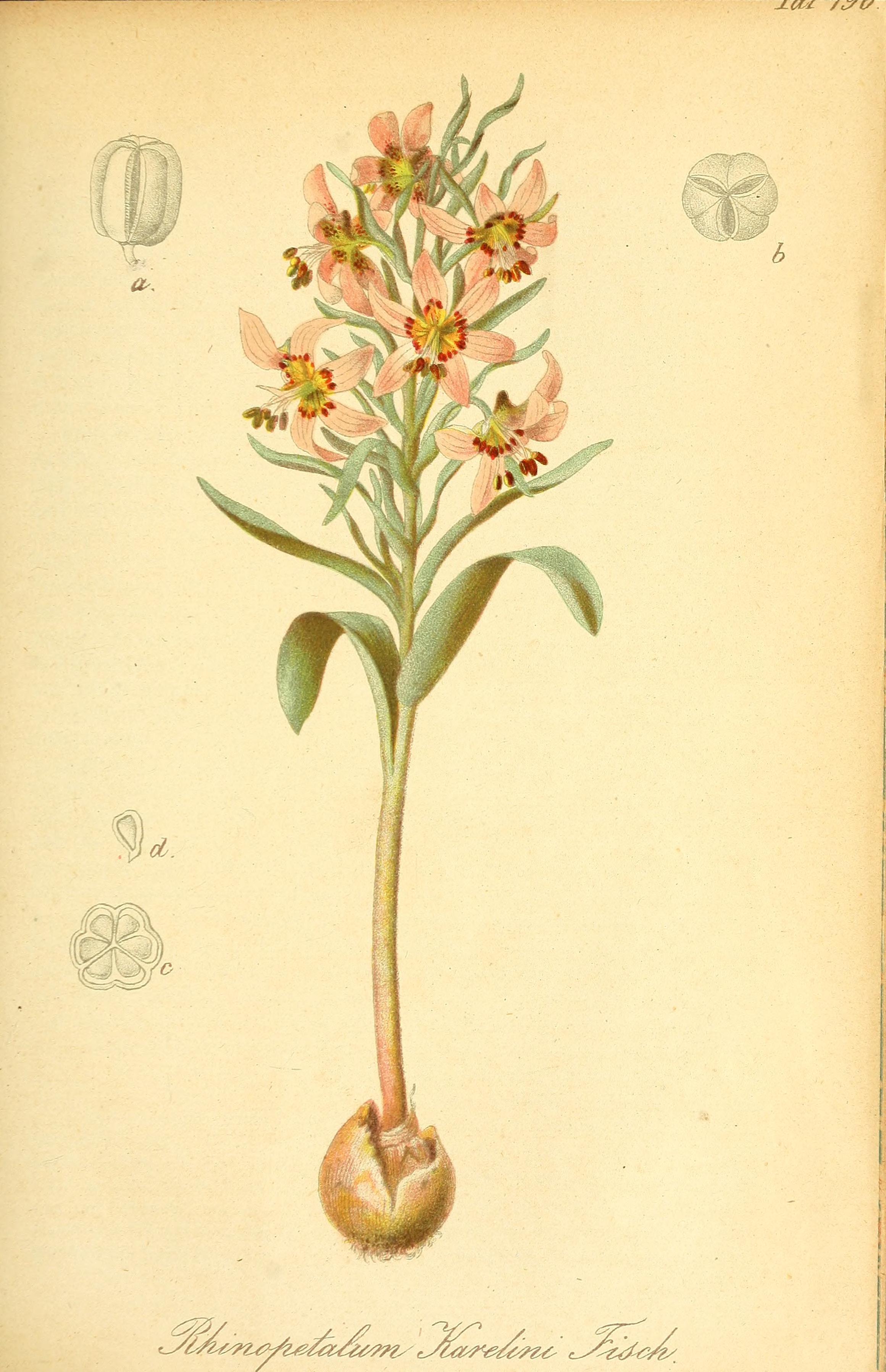 no full size  illustration available (3a)