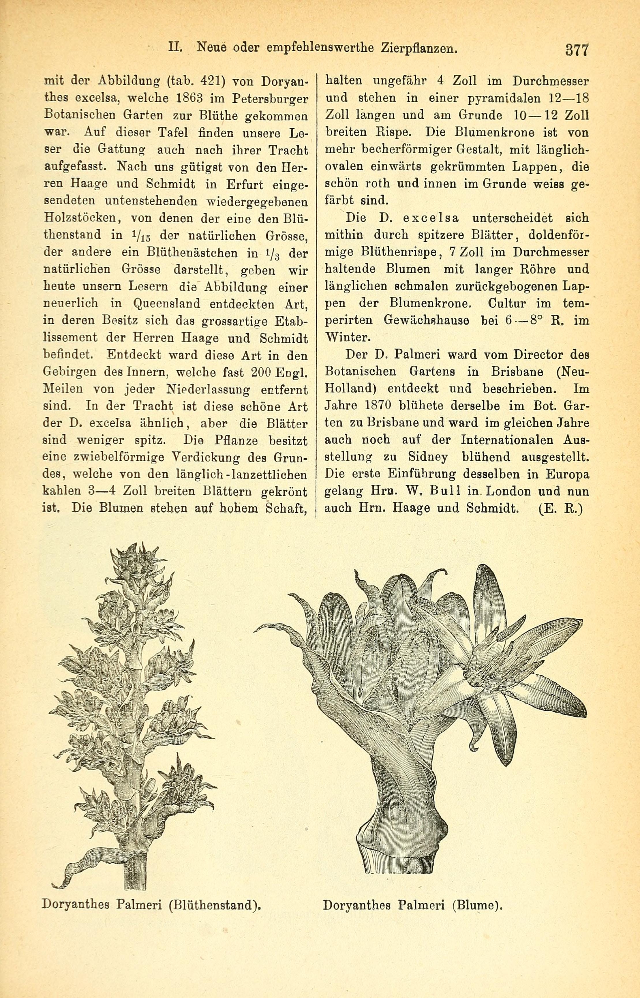 no full size  illustration available (3a)