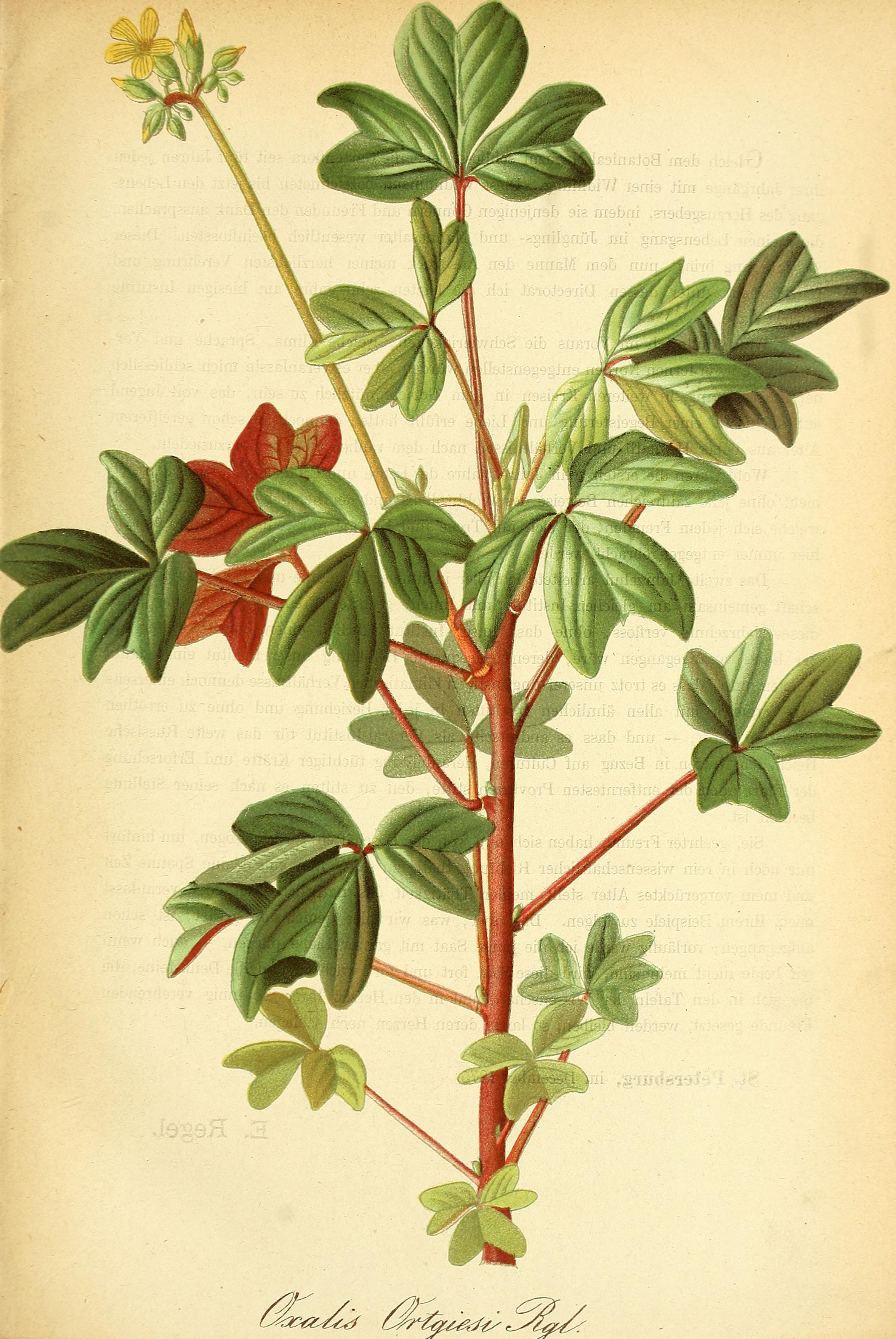 no full size  illustration available (3a)