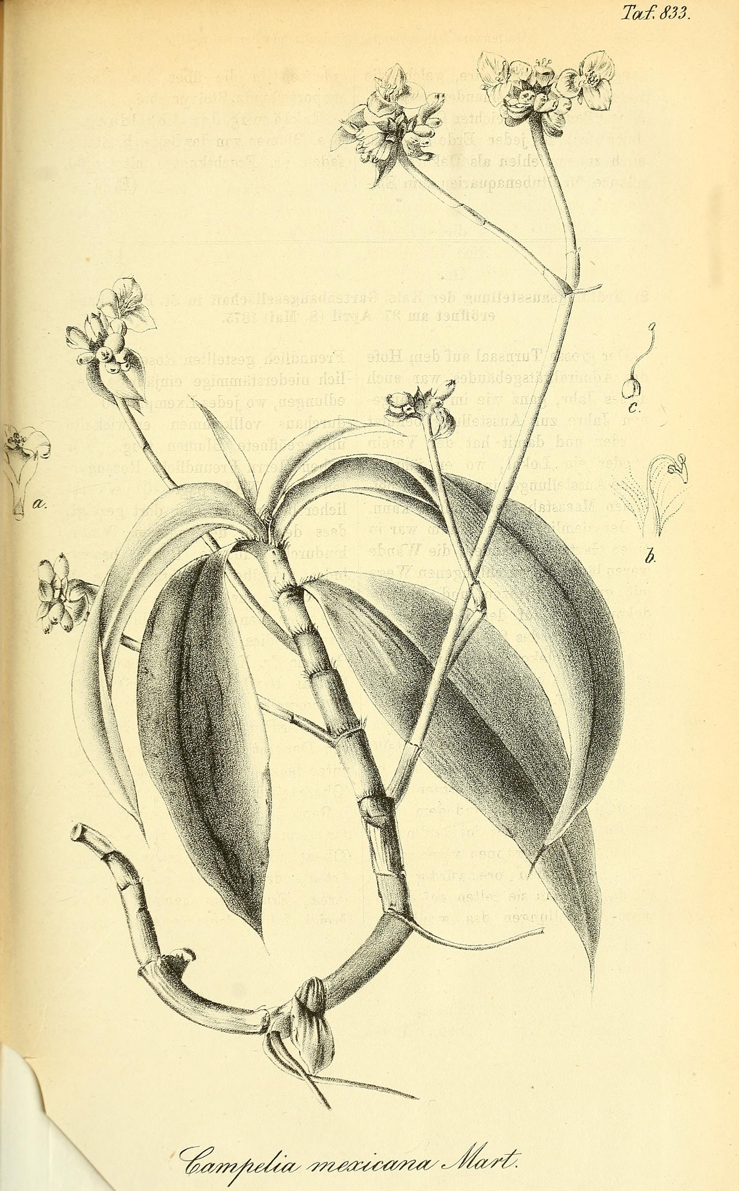 no full size  illustration available (3a)