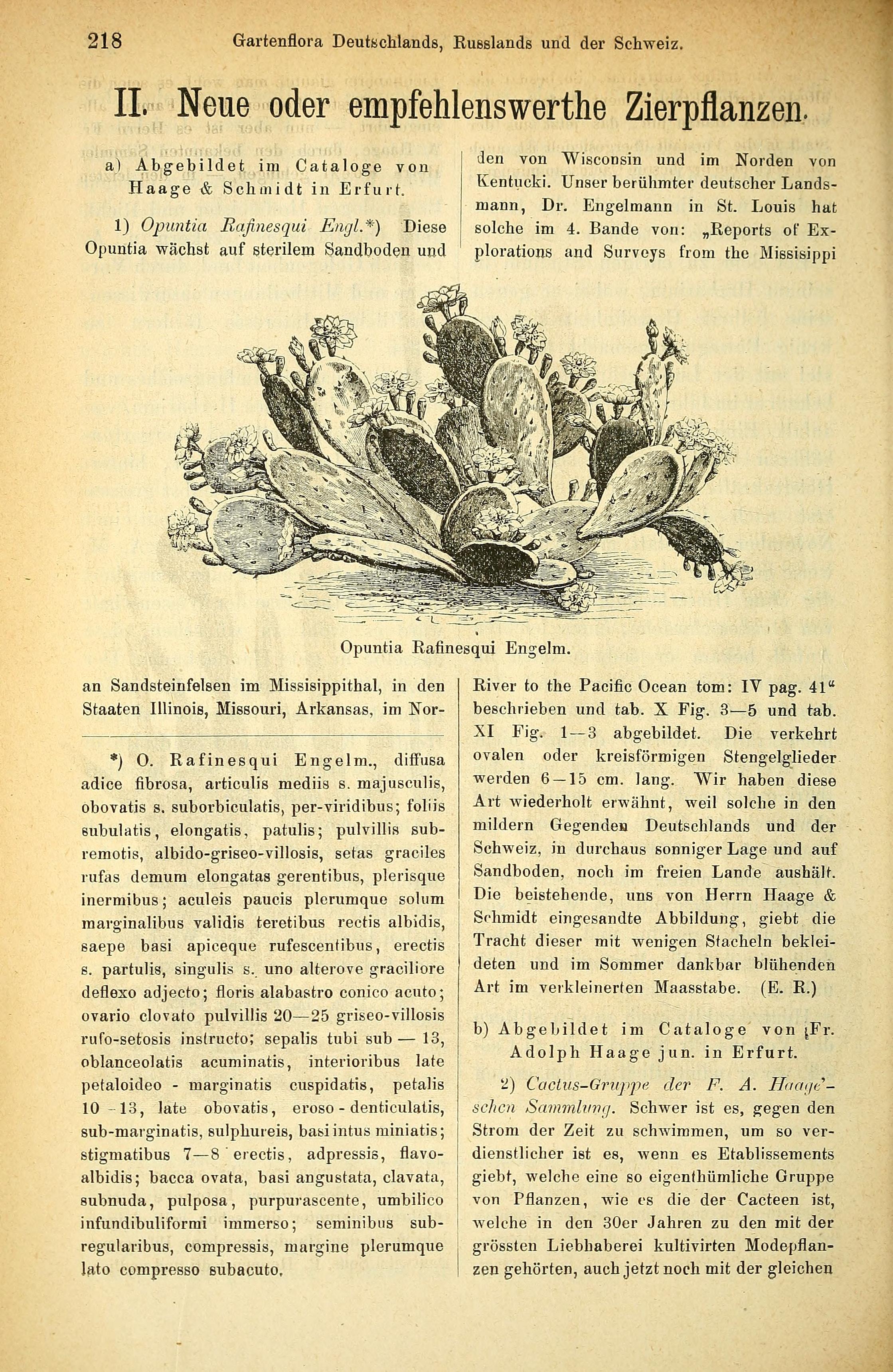 no full size  illustration available (3a)