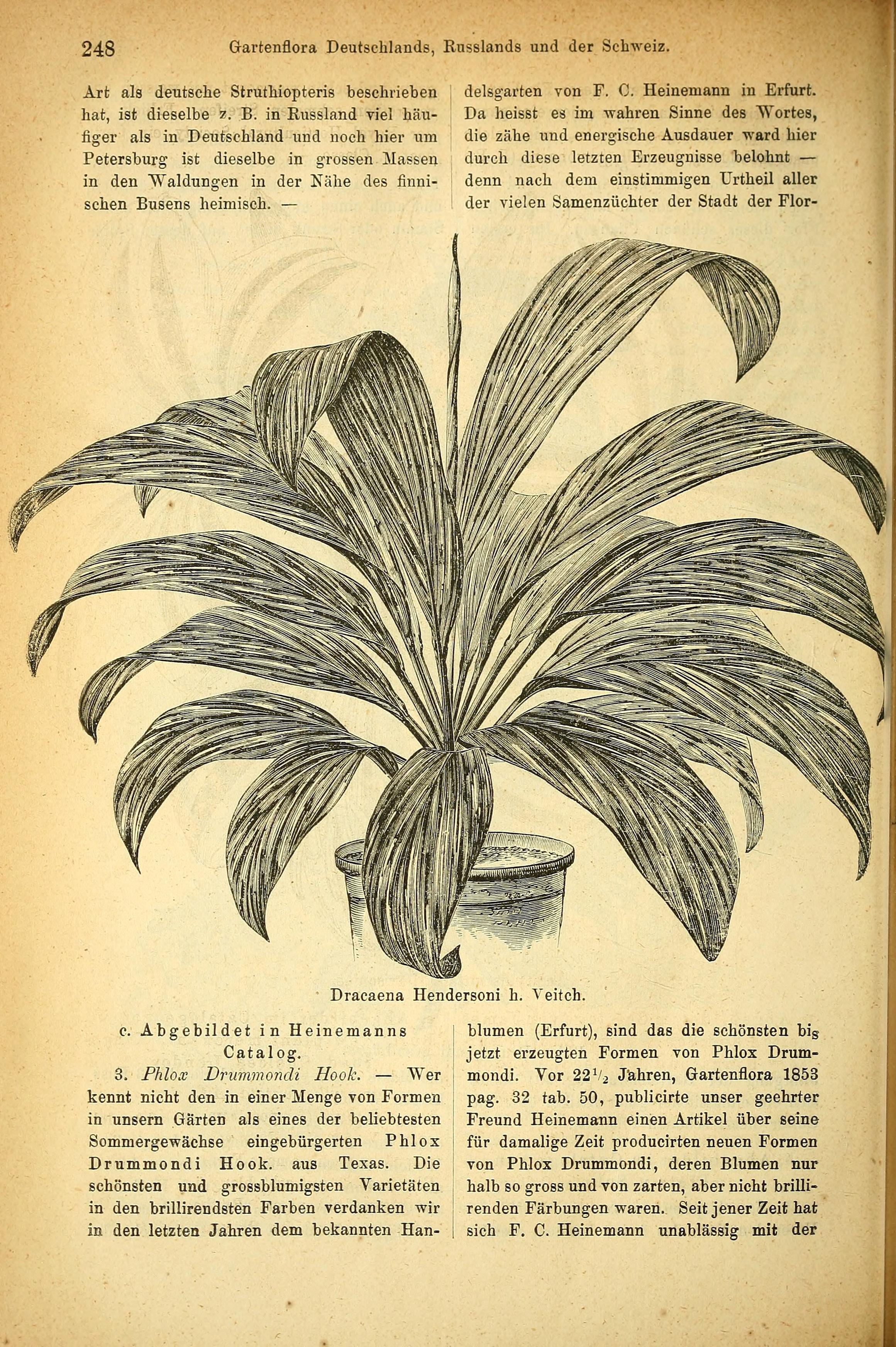 no full size  illustration available (3a)