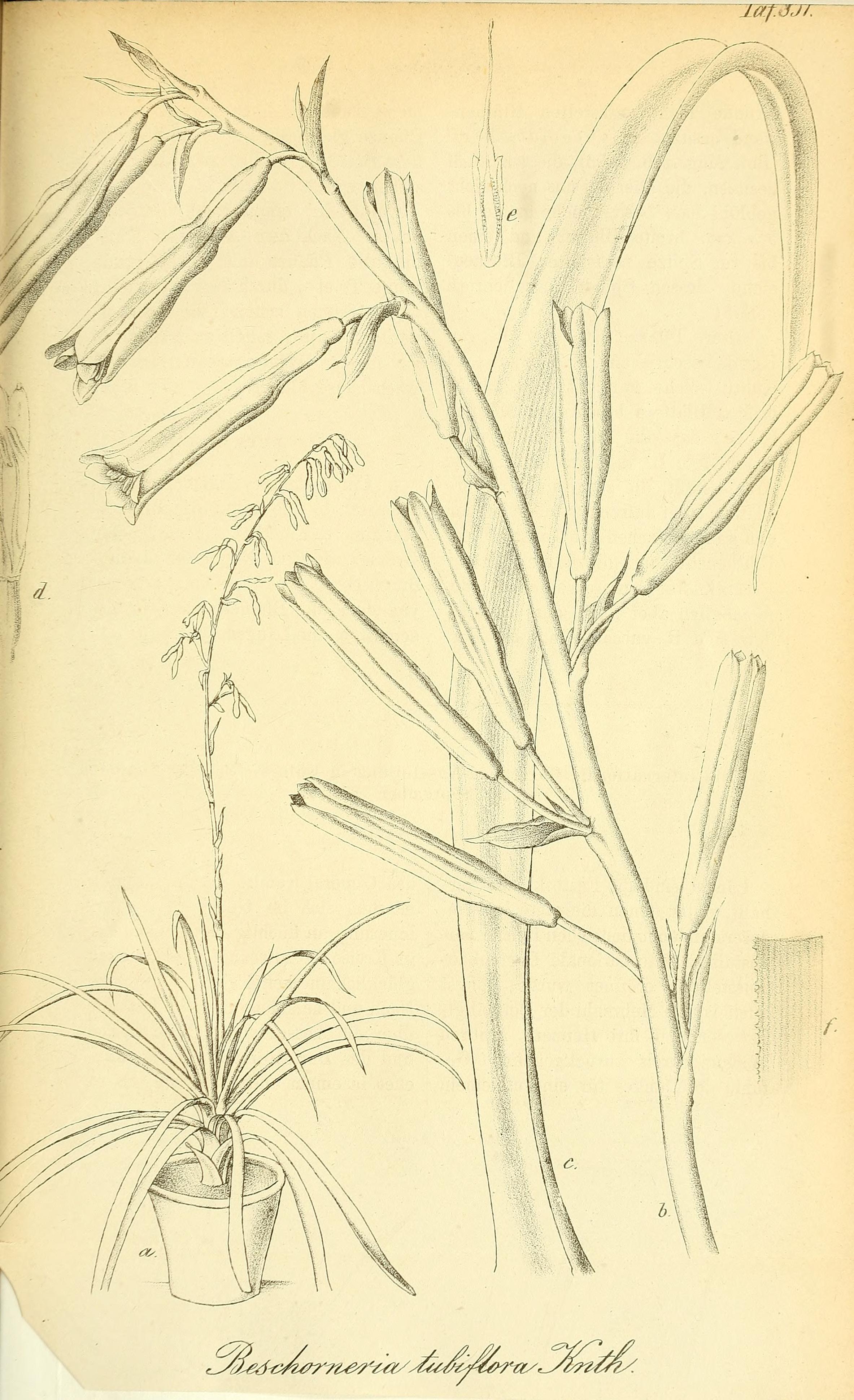 no full size  illustration available (3a)