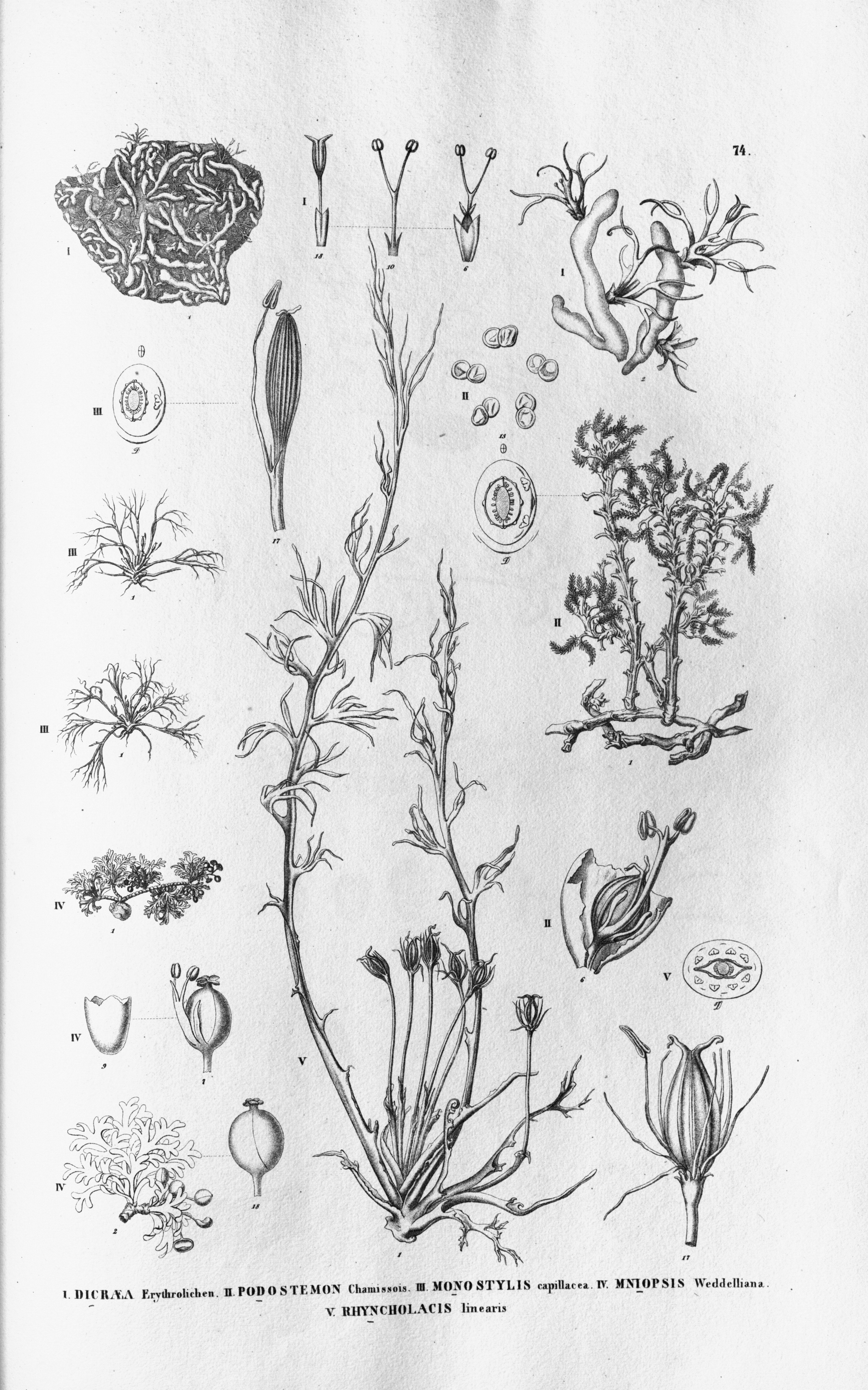 no full size  illustration available (3a)