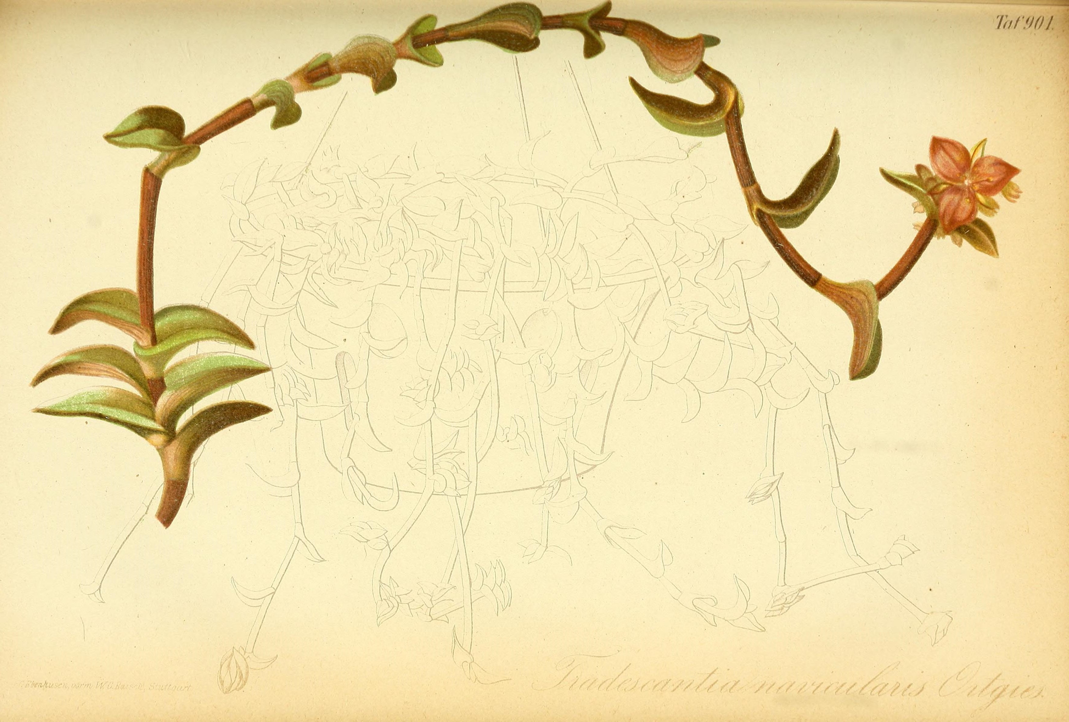 no full size  illustration available (3a)