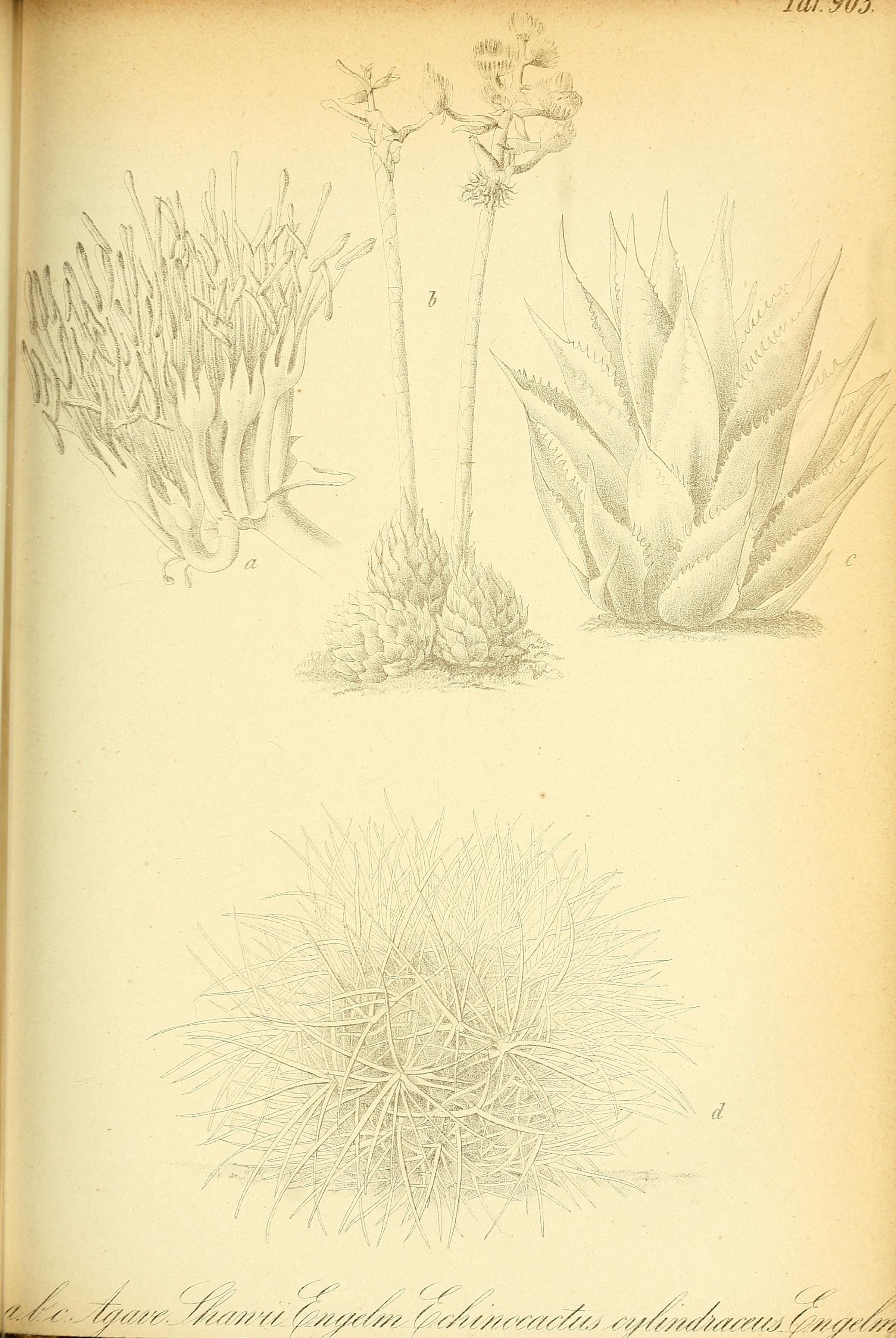 no full size  illustration available (3a)