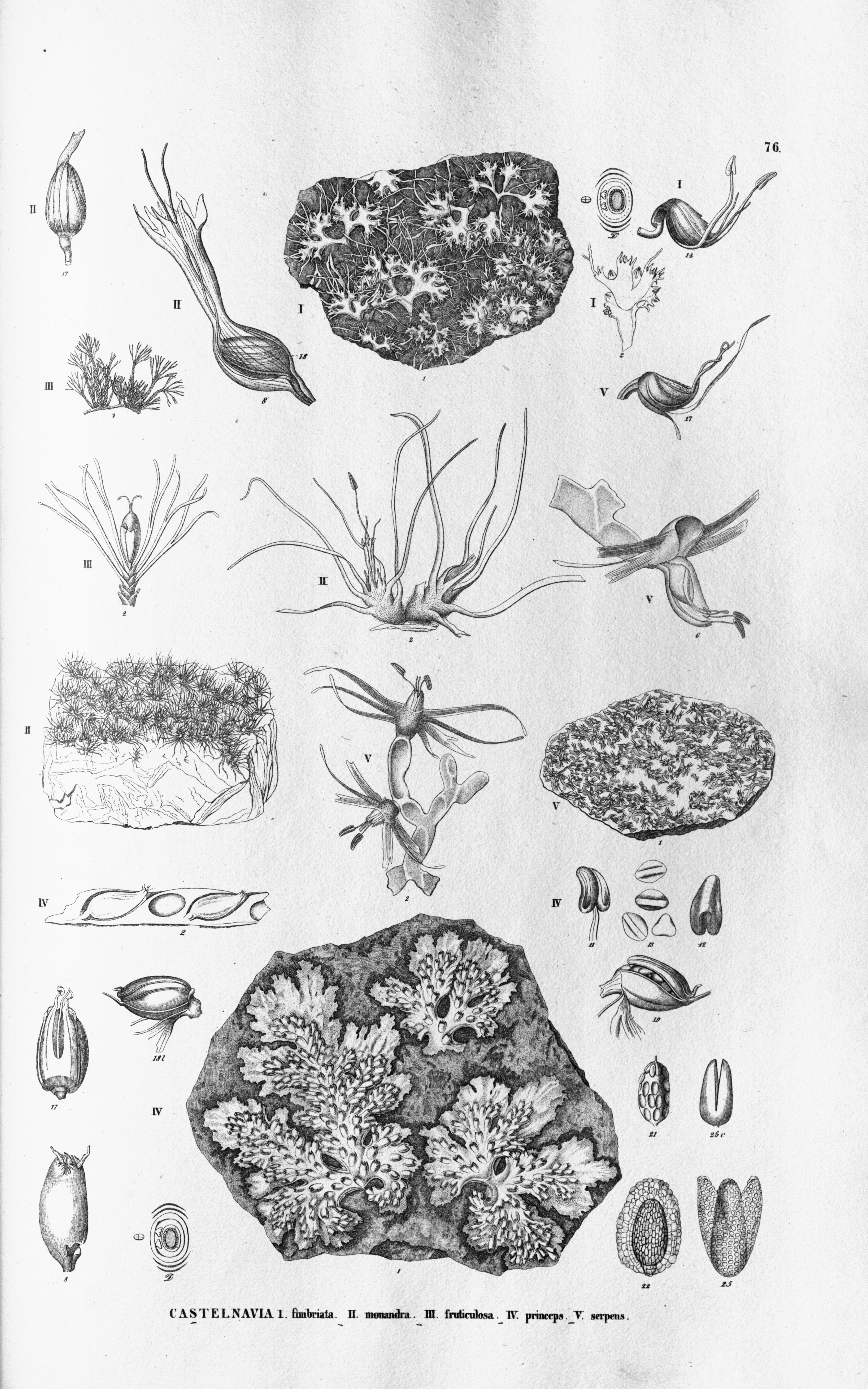 no full size  illustration available (3a)