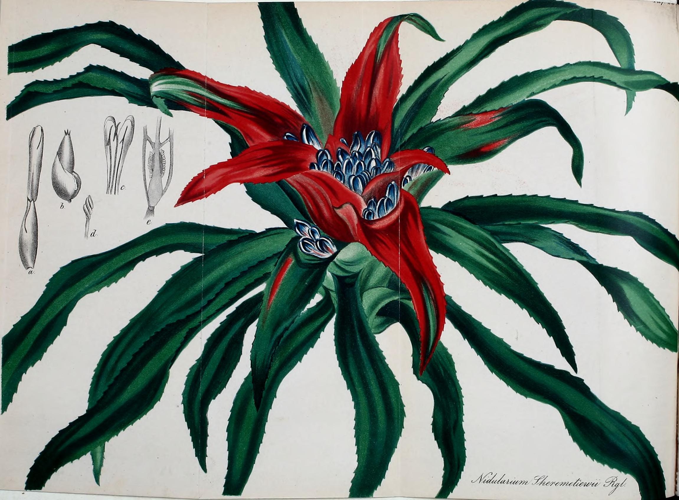 no full size  illustration available (3a)