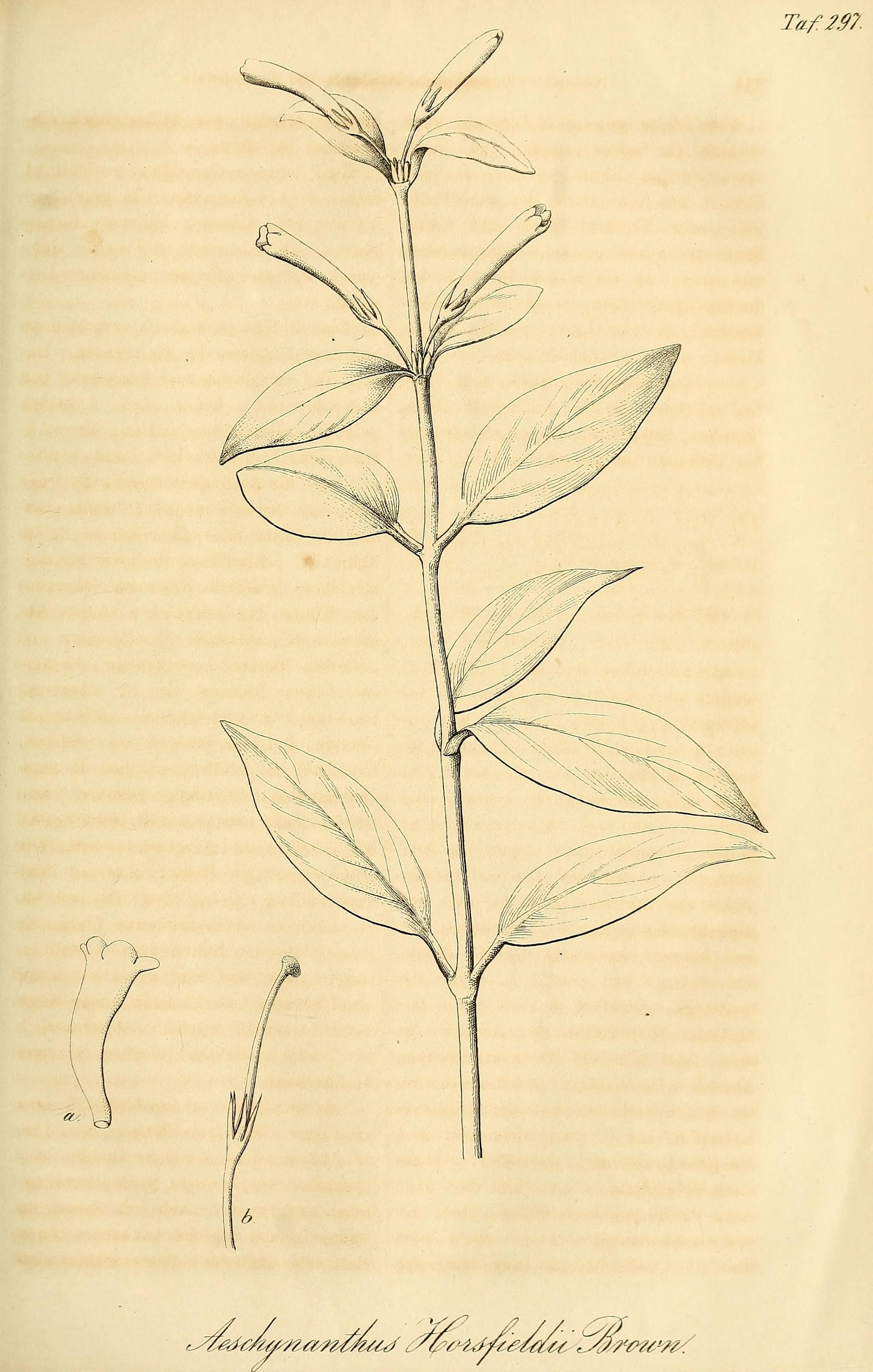 no full size  illustration available (3a)