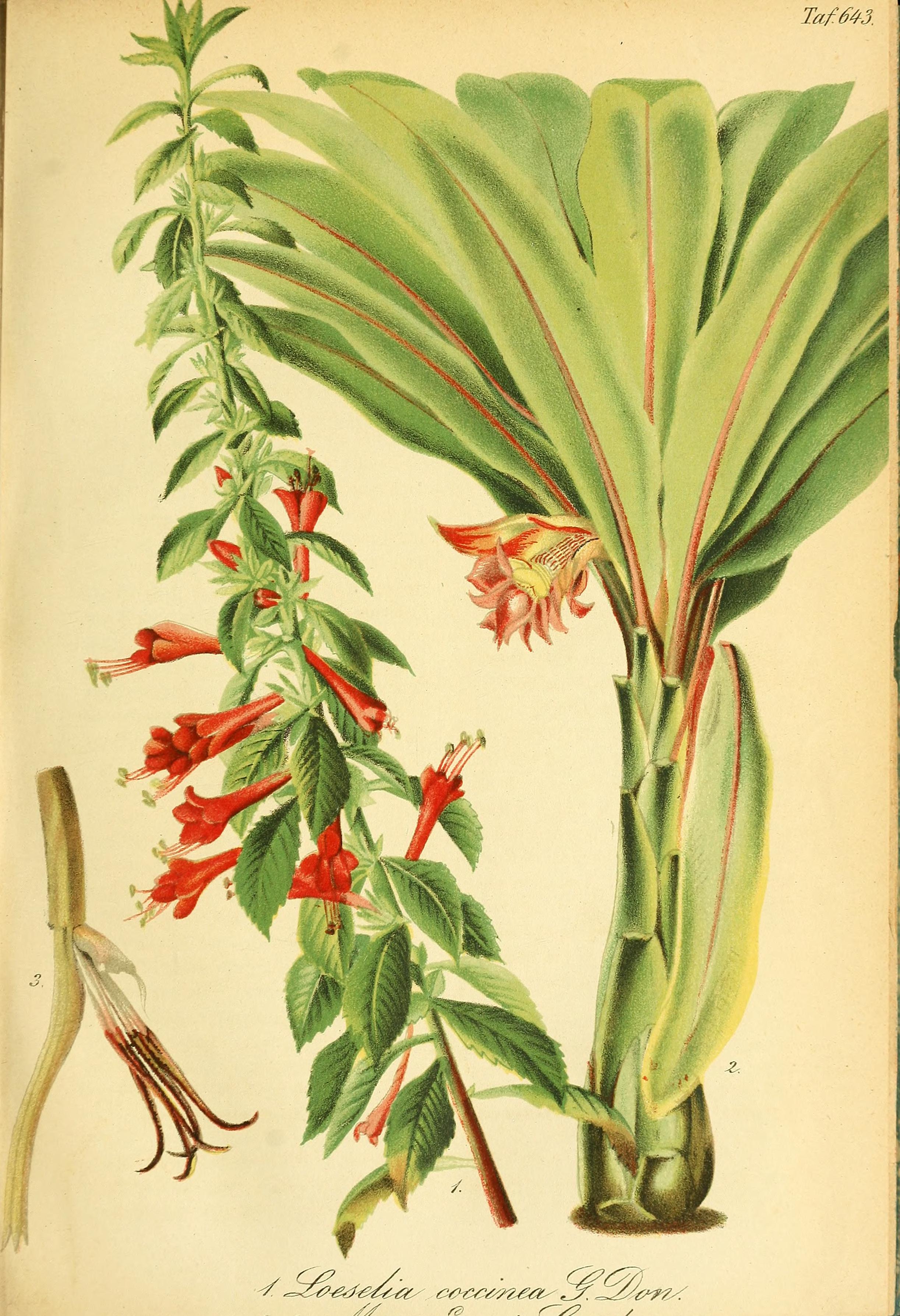 no full size  illustration available (3a)