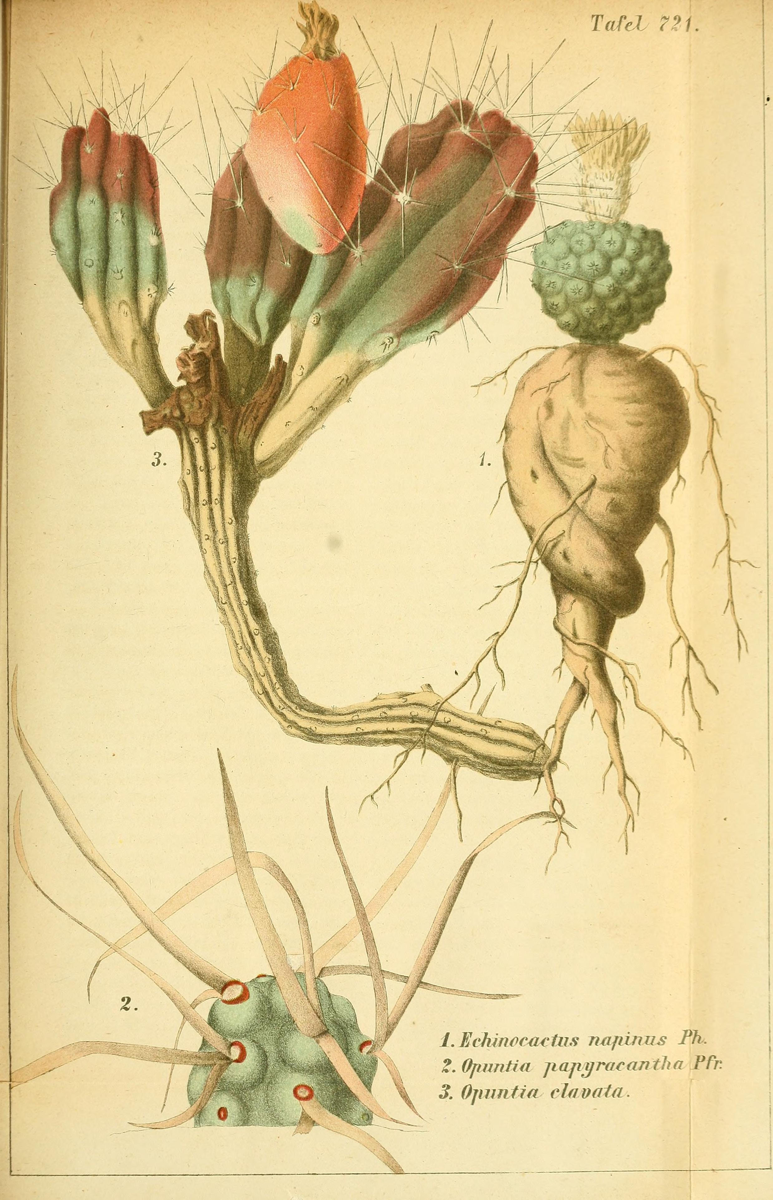 no full size  illustration available (3a)