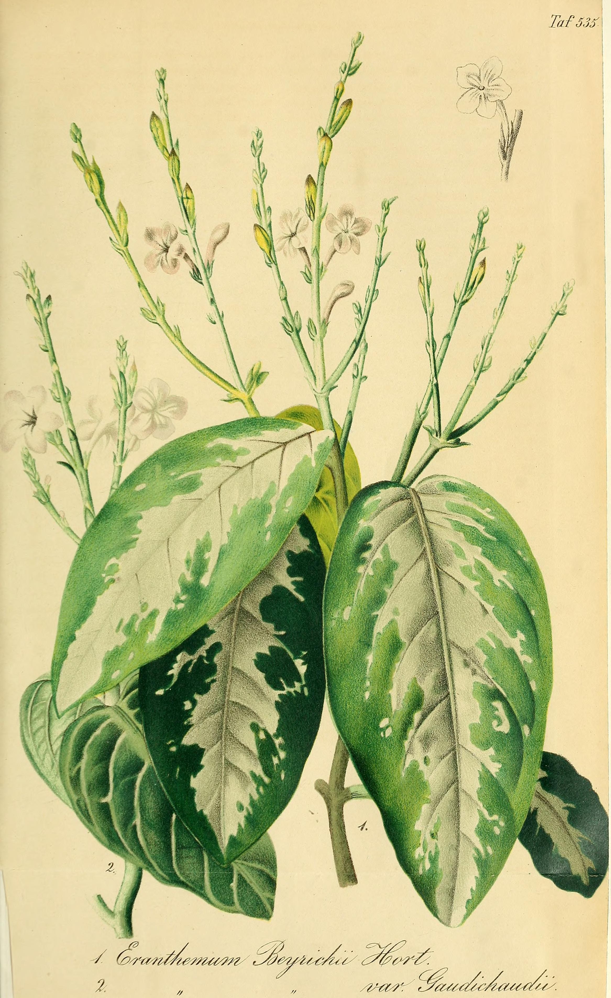 no full size  illustration available (3a)