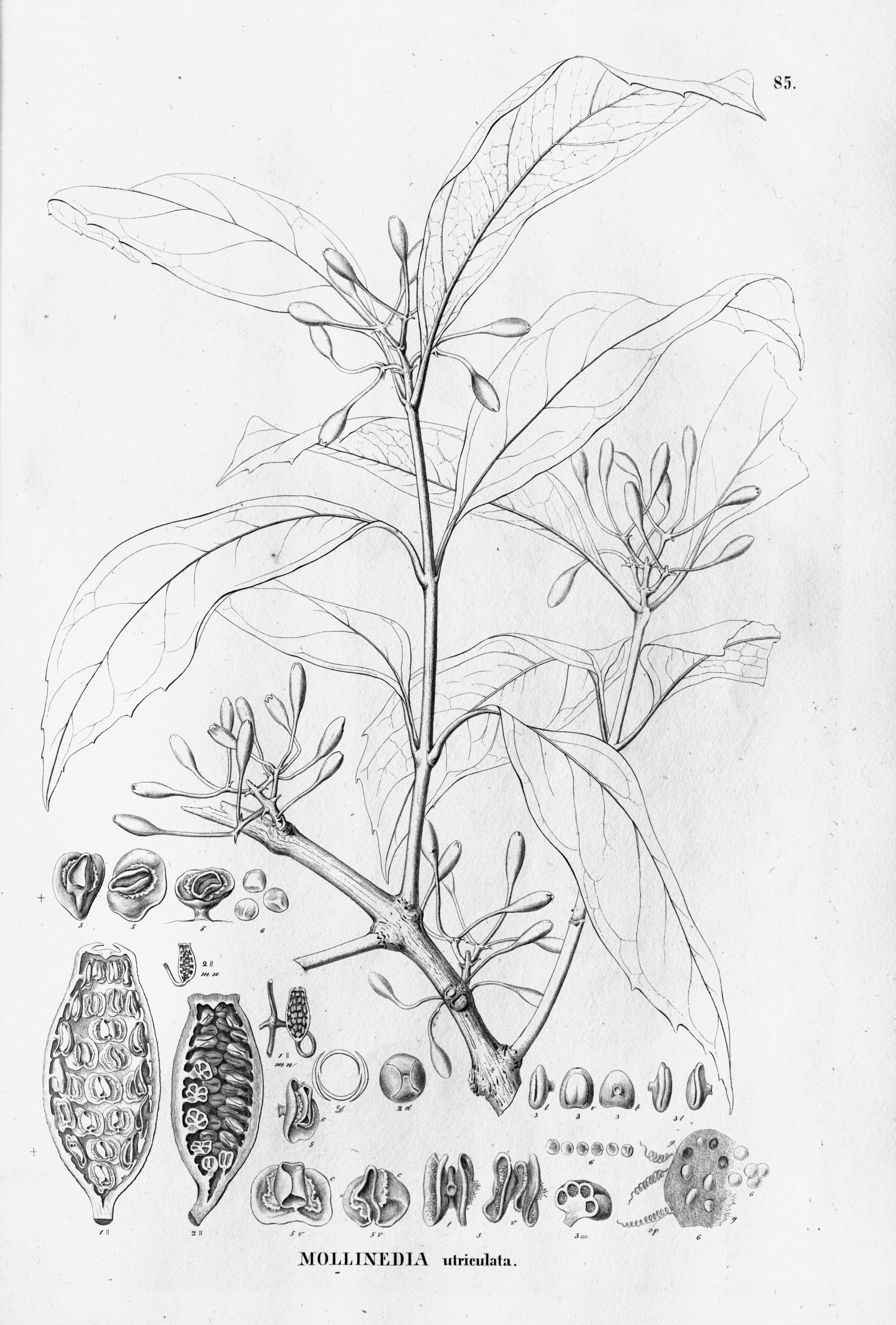 no full size  illustration available (3a)