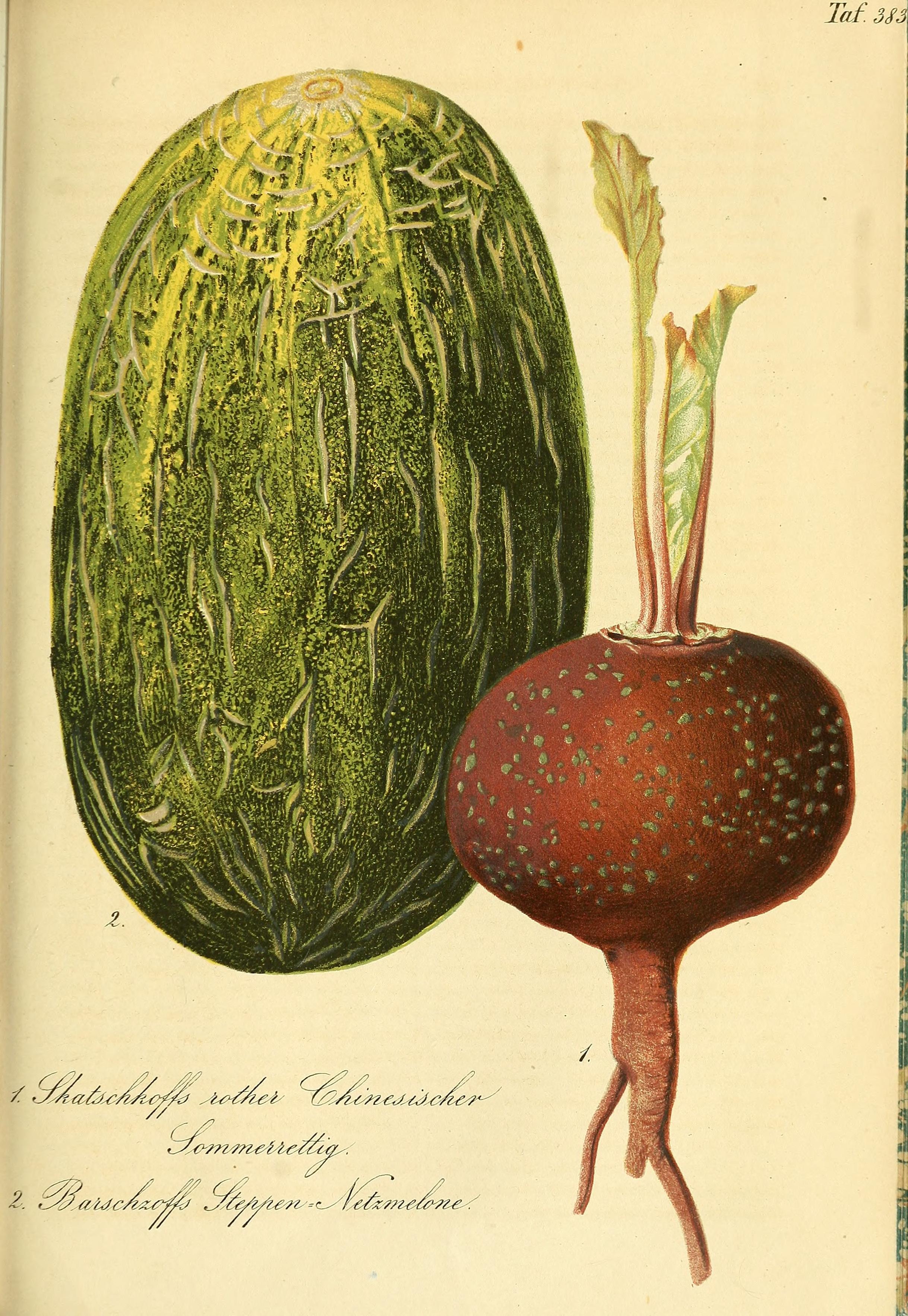 no full size  illustration available (3a)