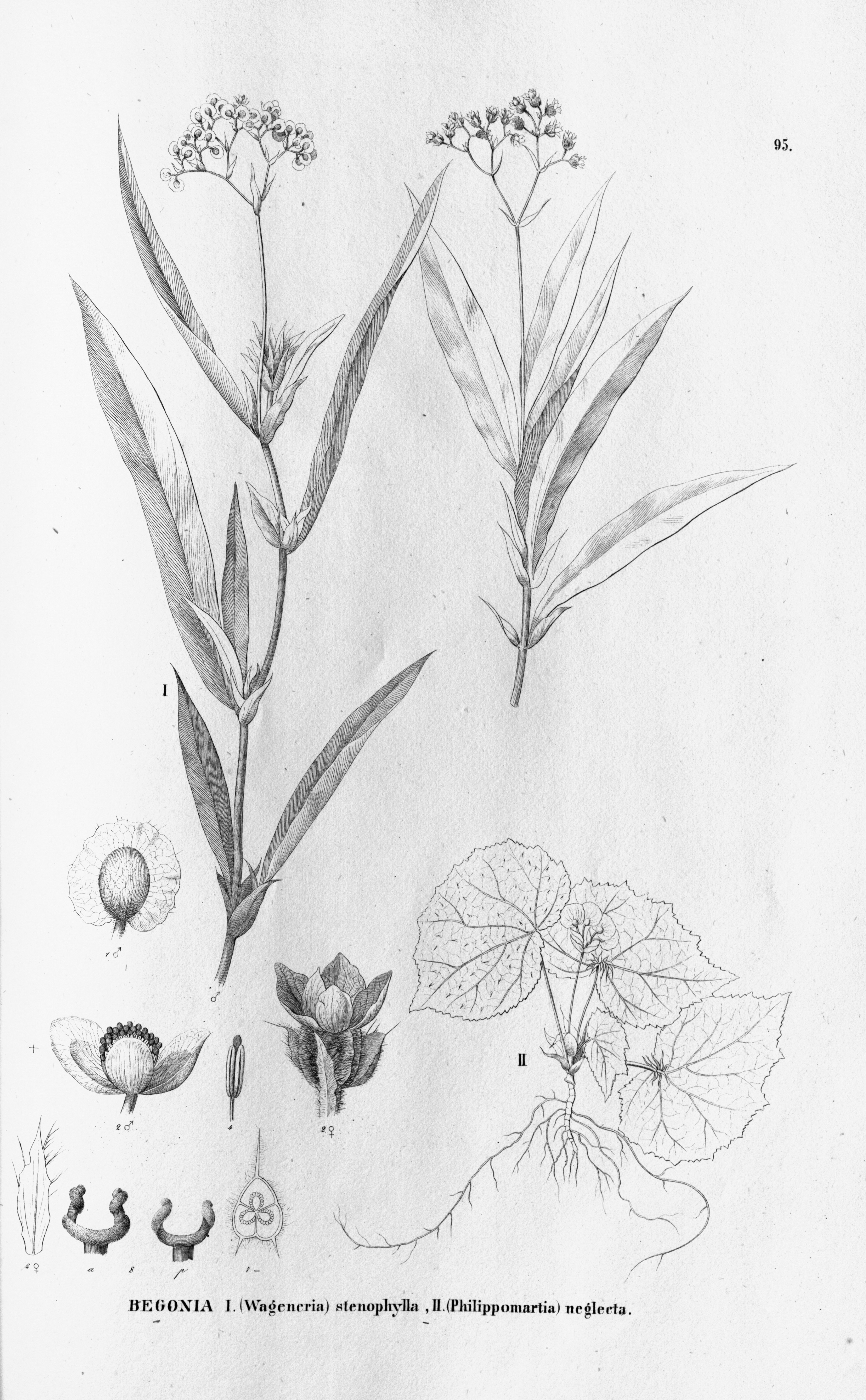 no full size  illustration available (3a)