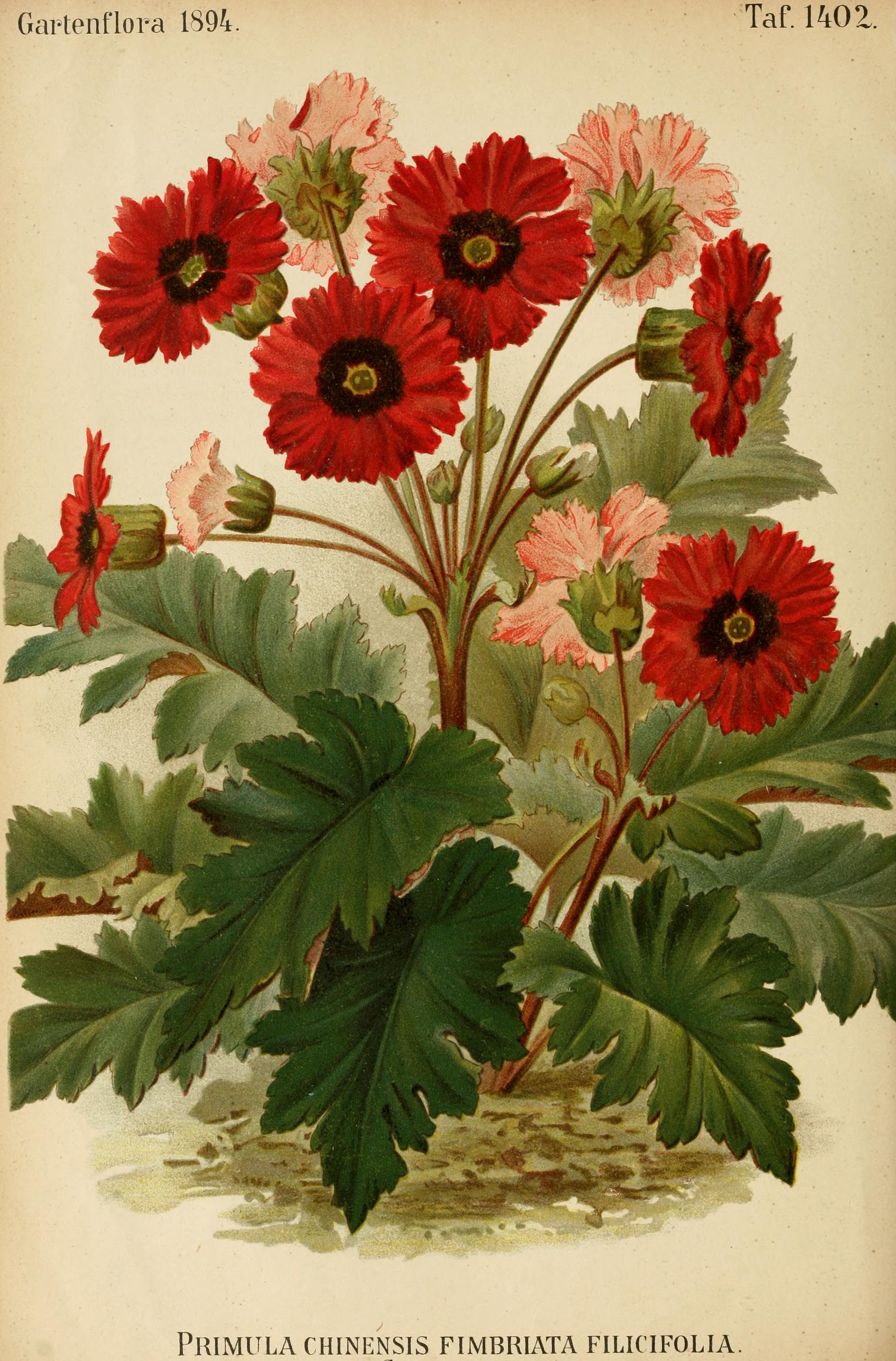 no full size  illustration available (3a)