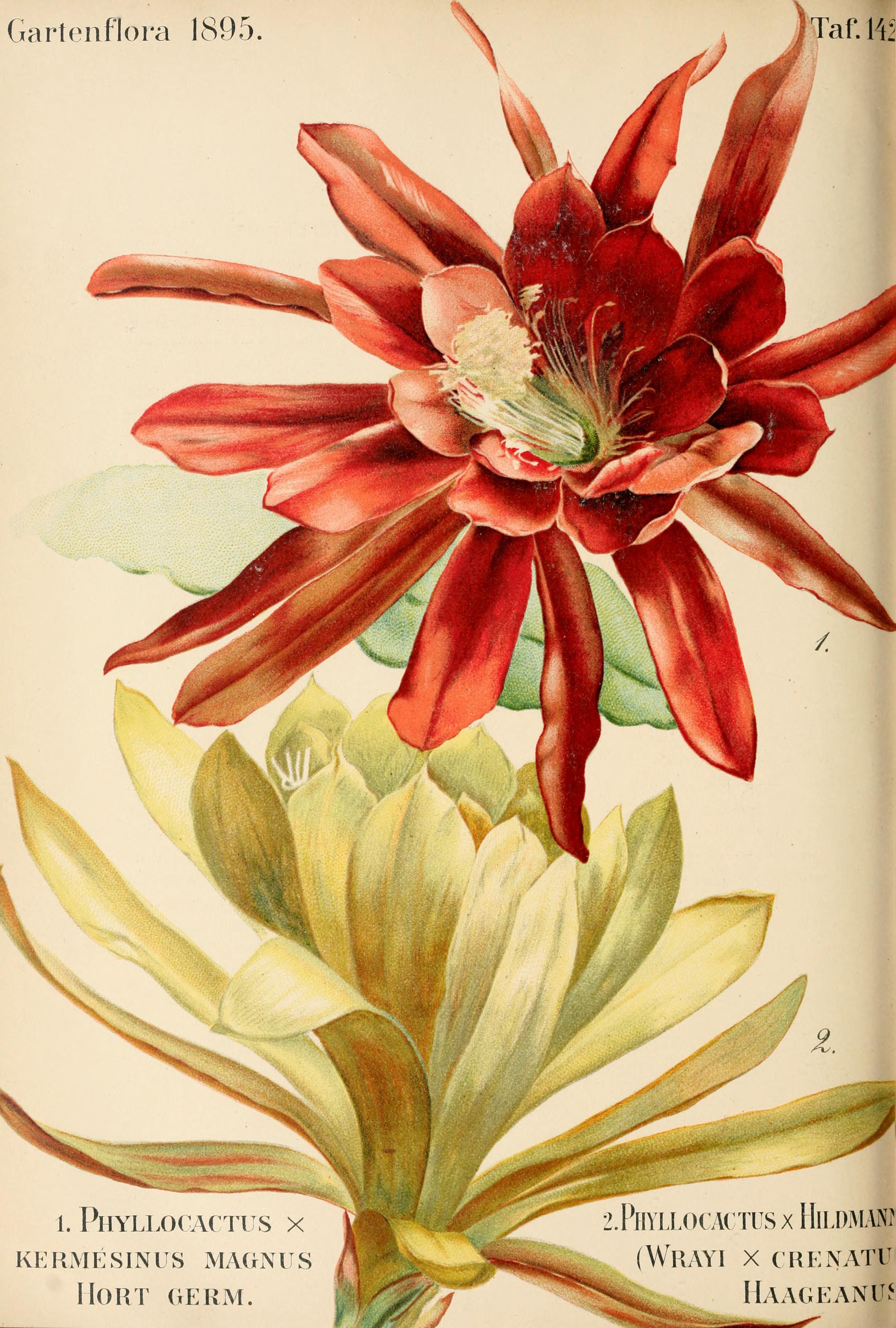 no full size  illustration available (3a)