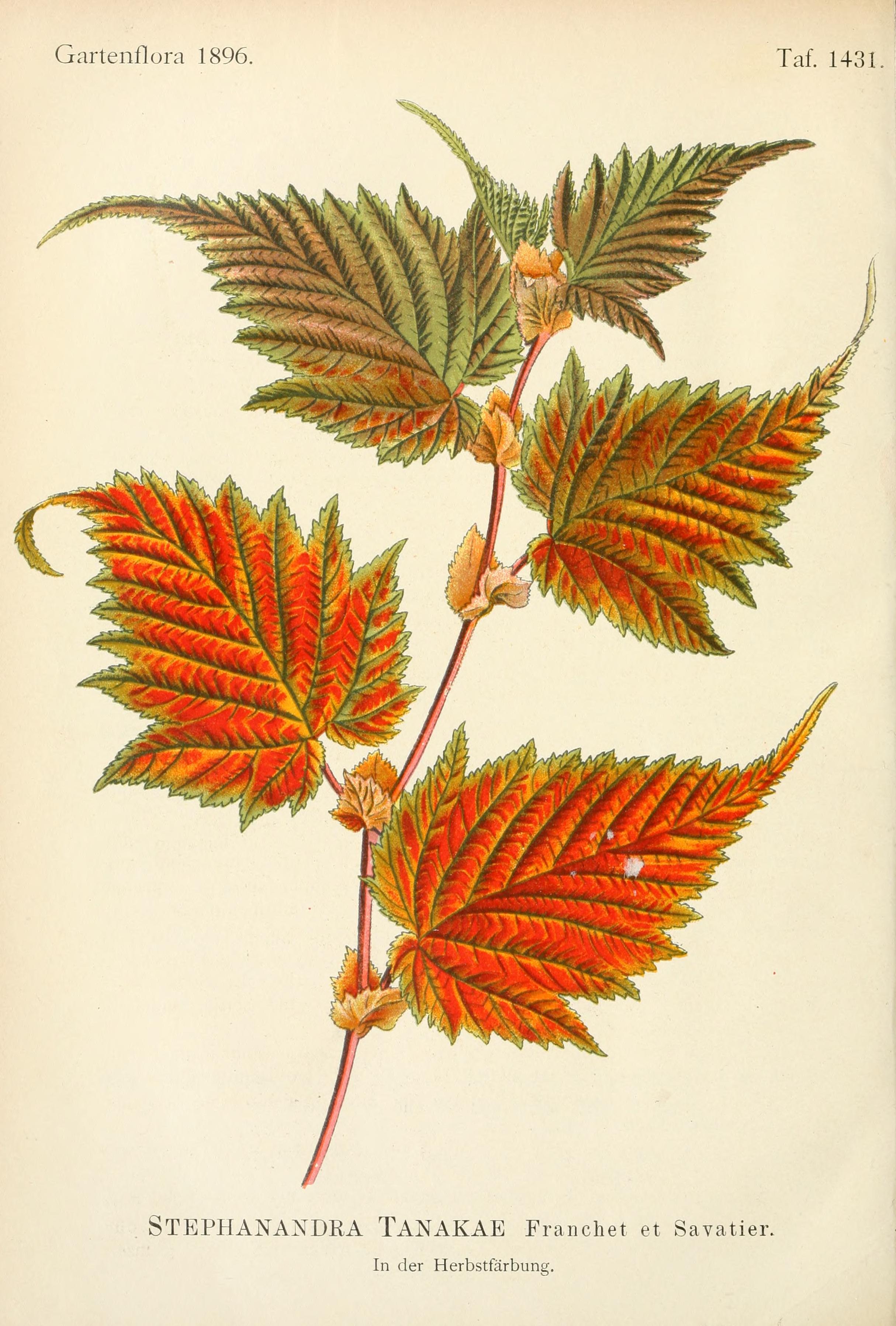 no full size  illustration available (3a)