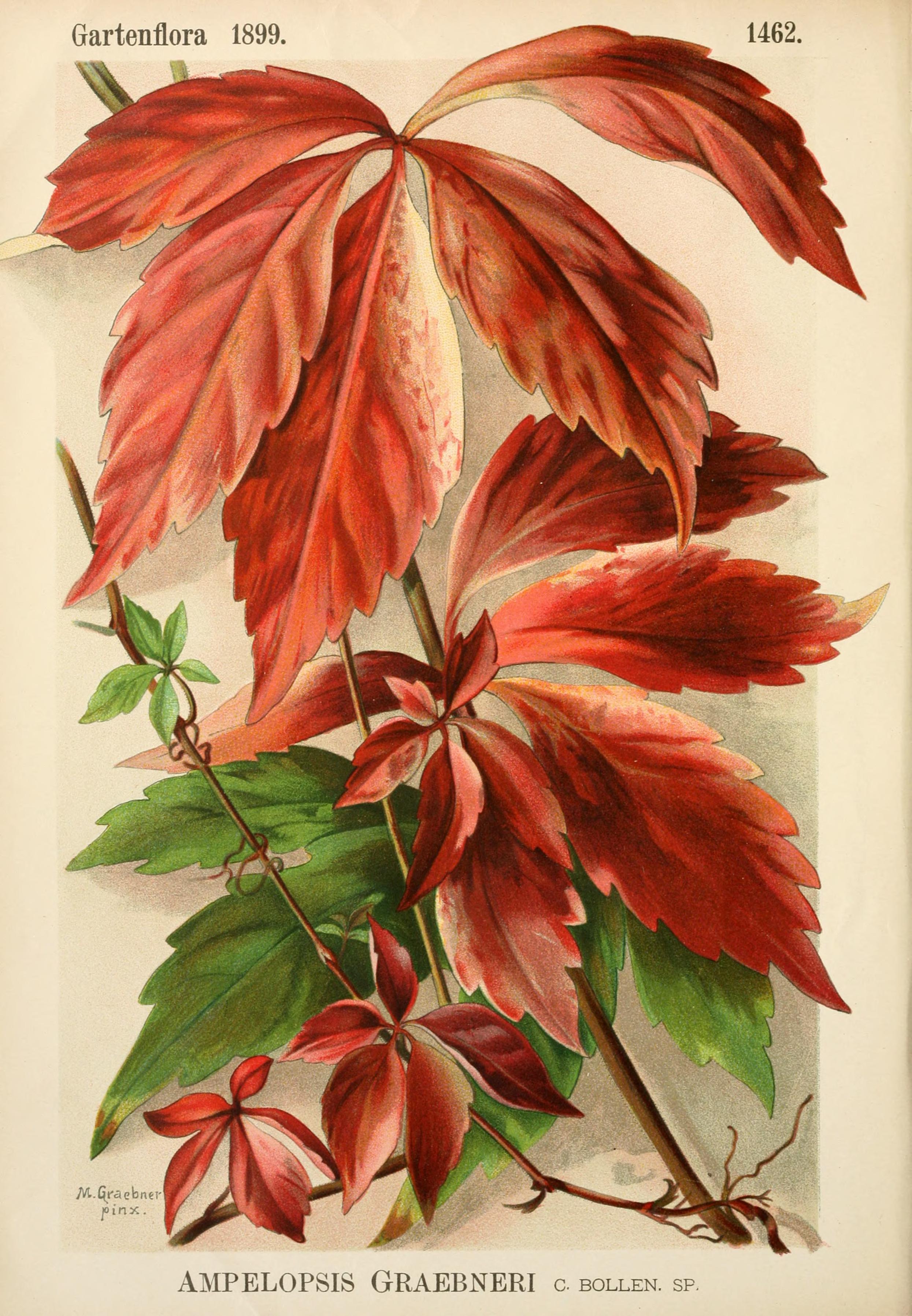 no full size  illustration available (3a)