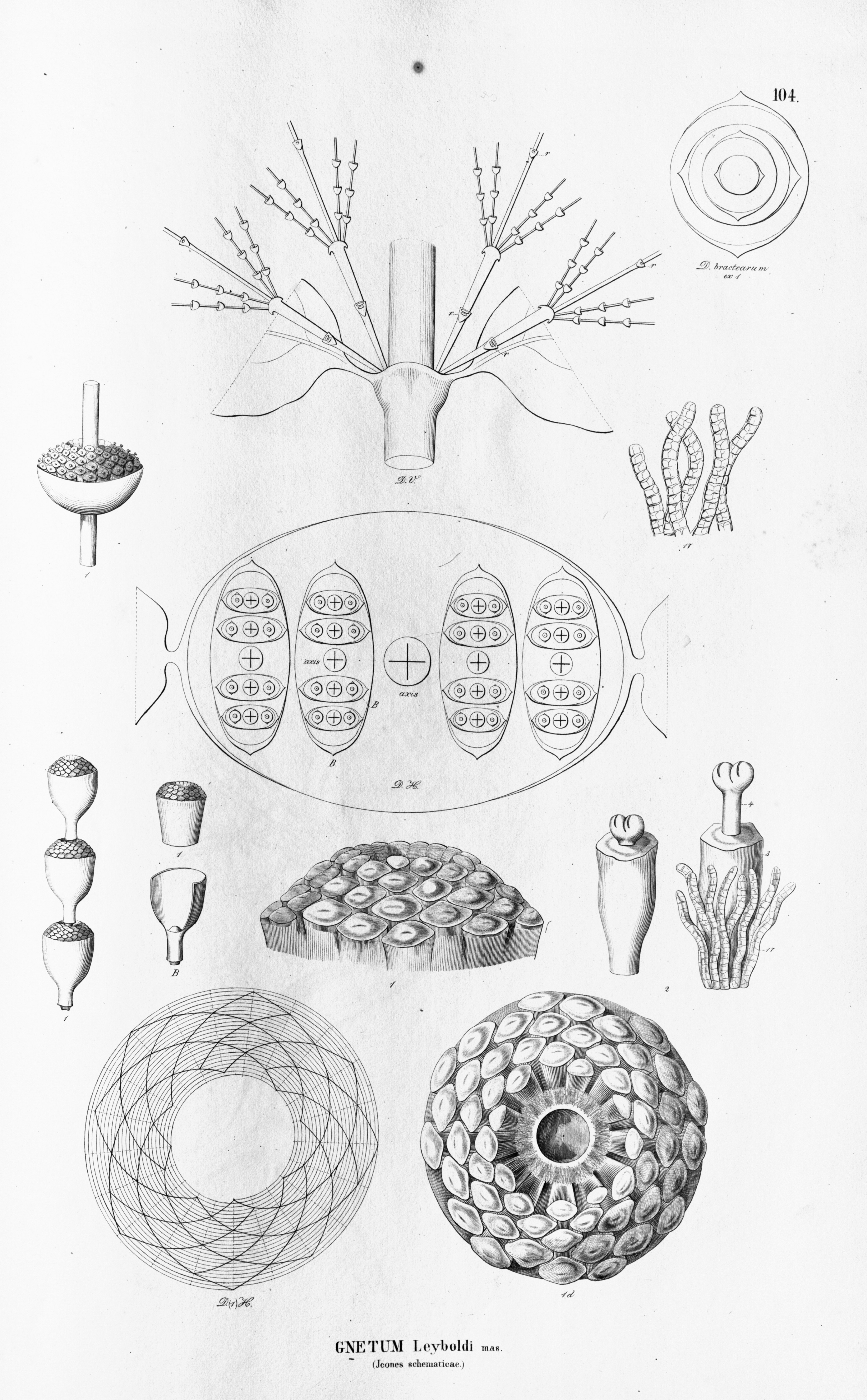 no full size  illustration available (3a)