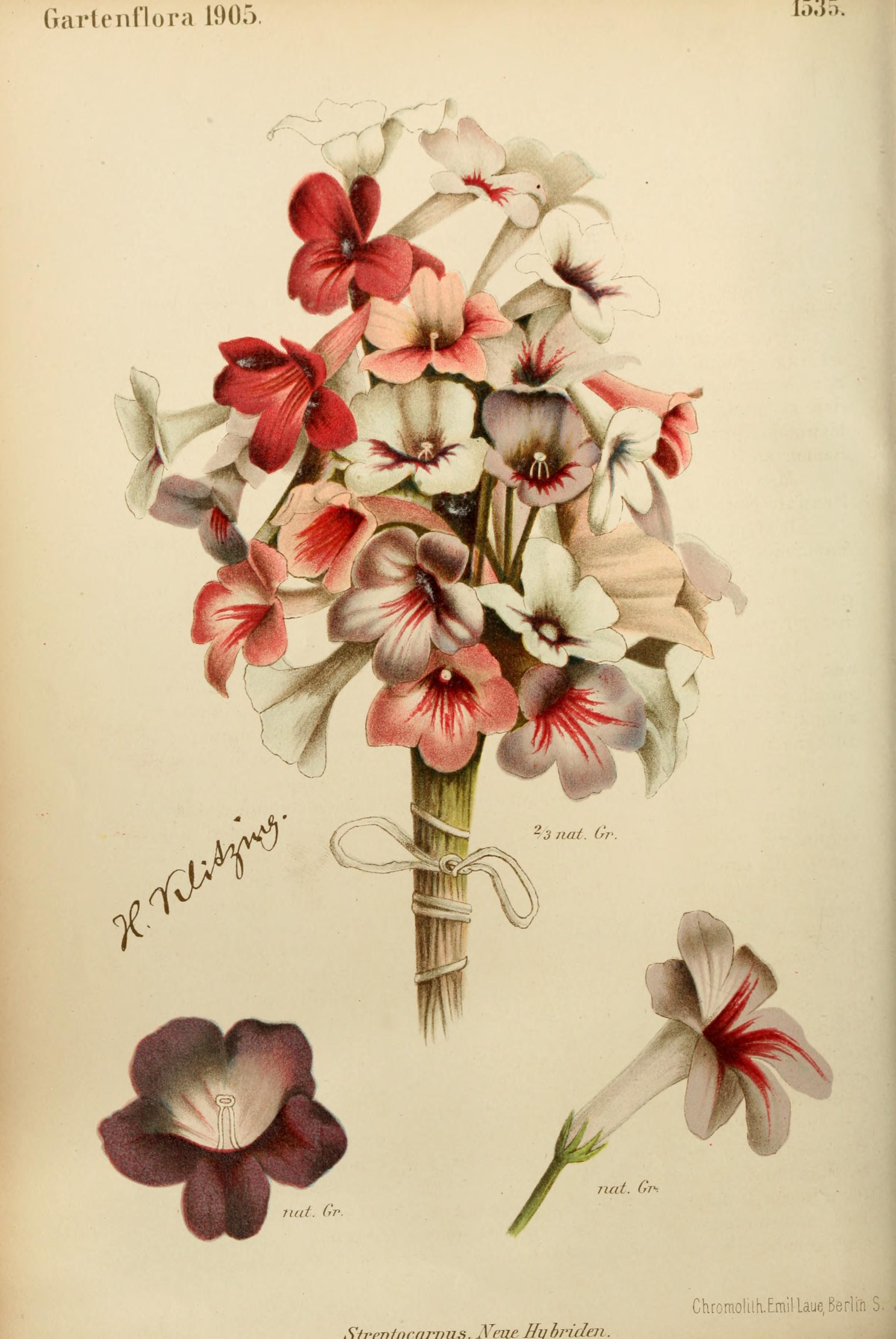 no full size  illustration available (3a)