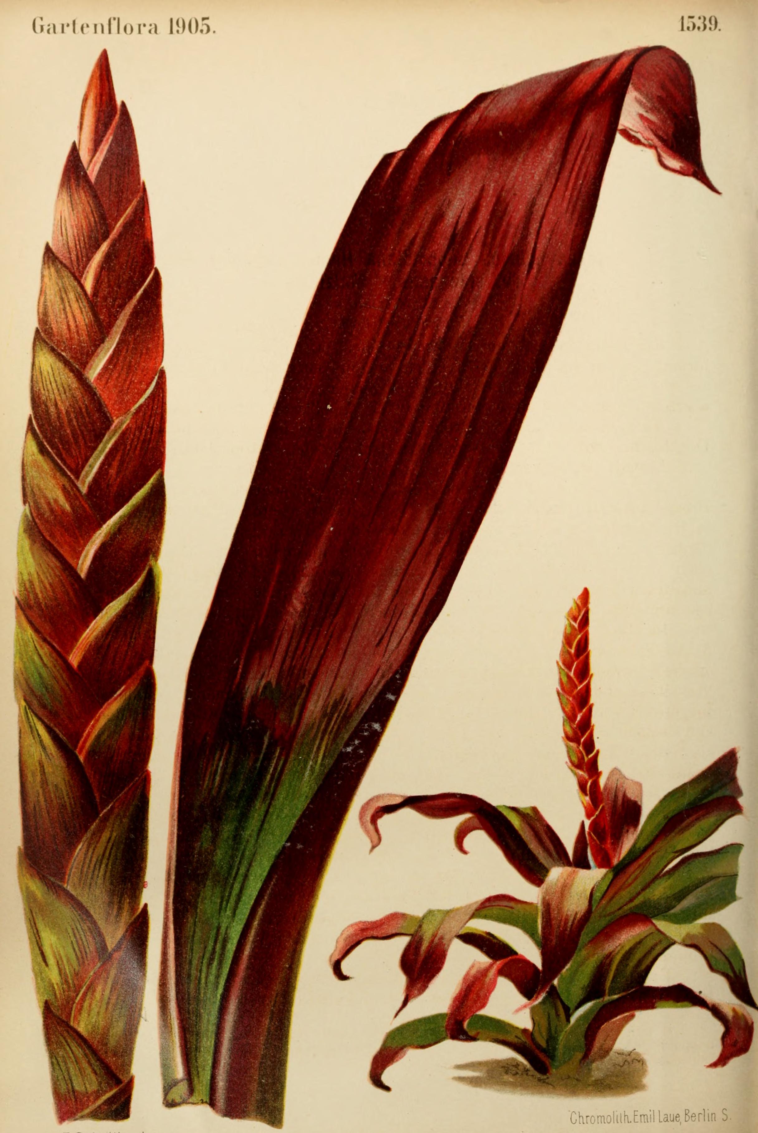 no full size  illustration available (3a)