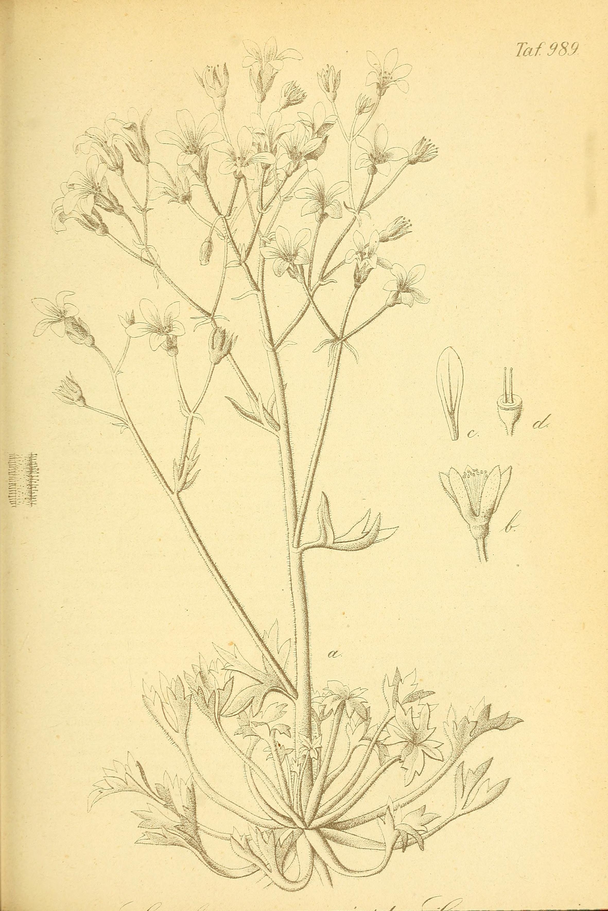 no full size  illustration available (3a)