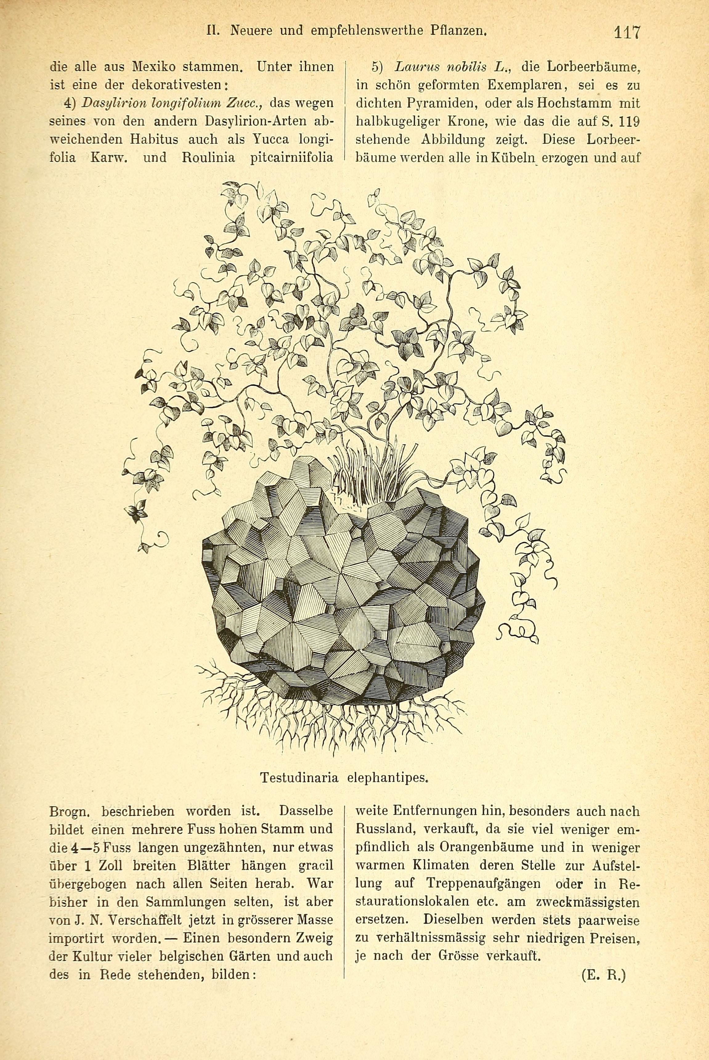 no full size  illustration available (3a)