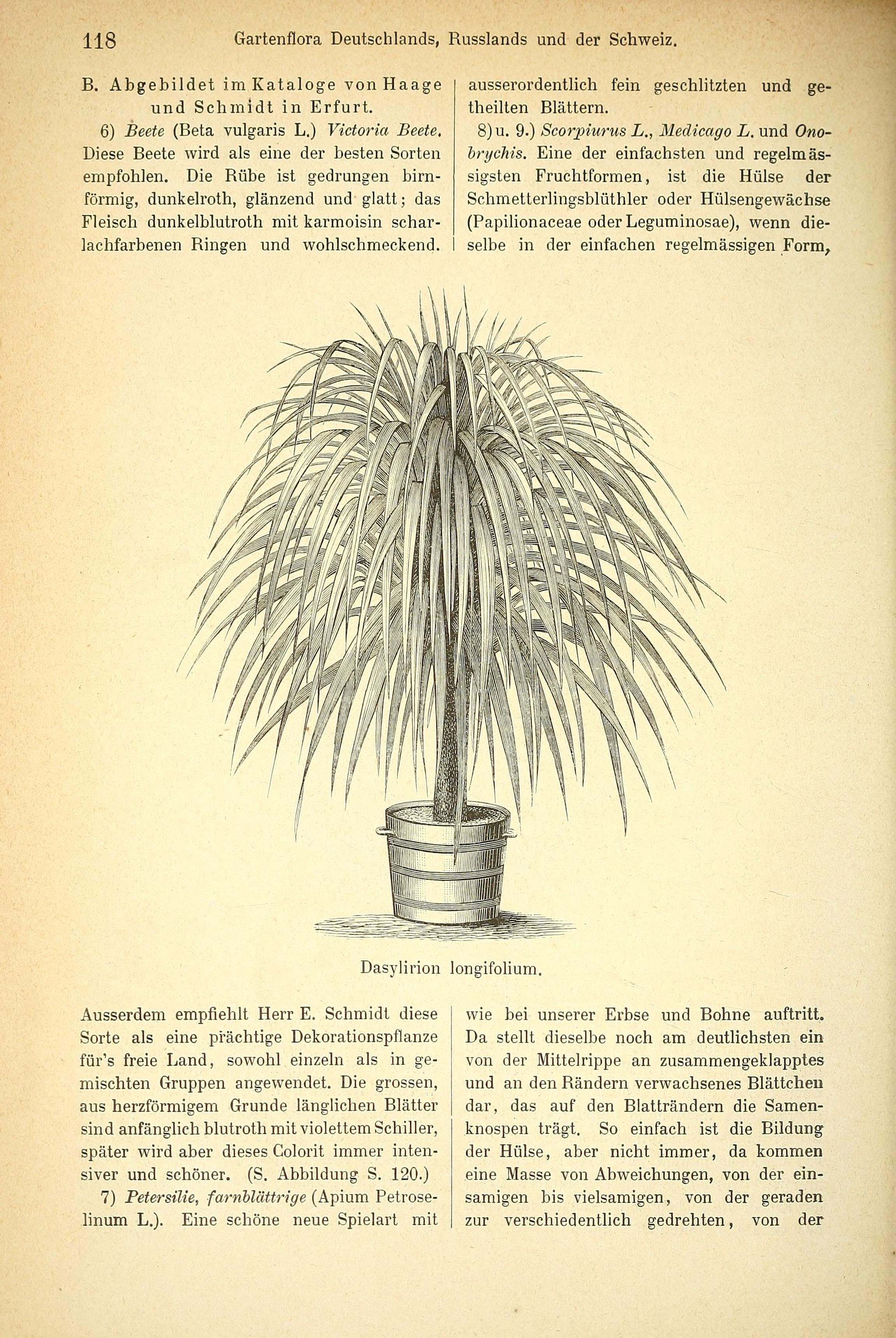 no full size  illustration available (3a)