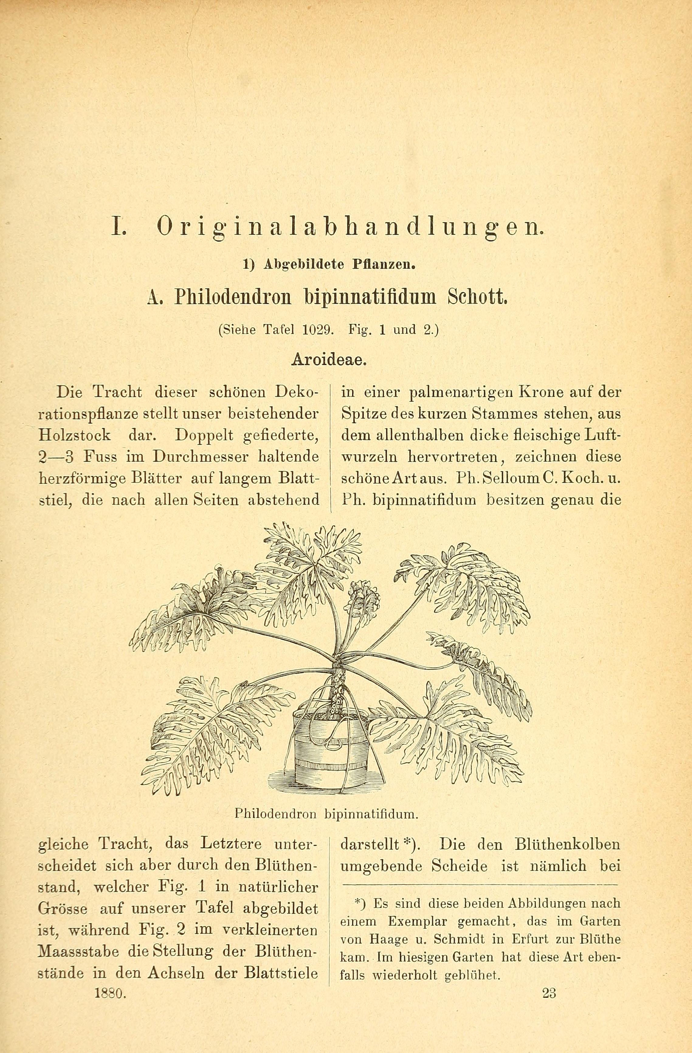 no full size  illustration available (3a)