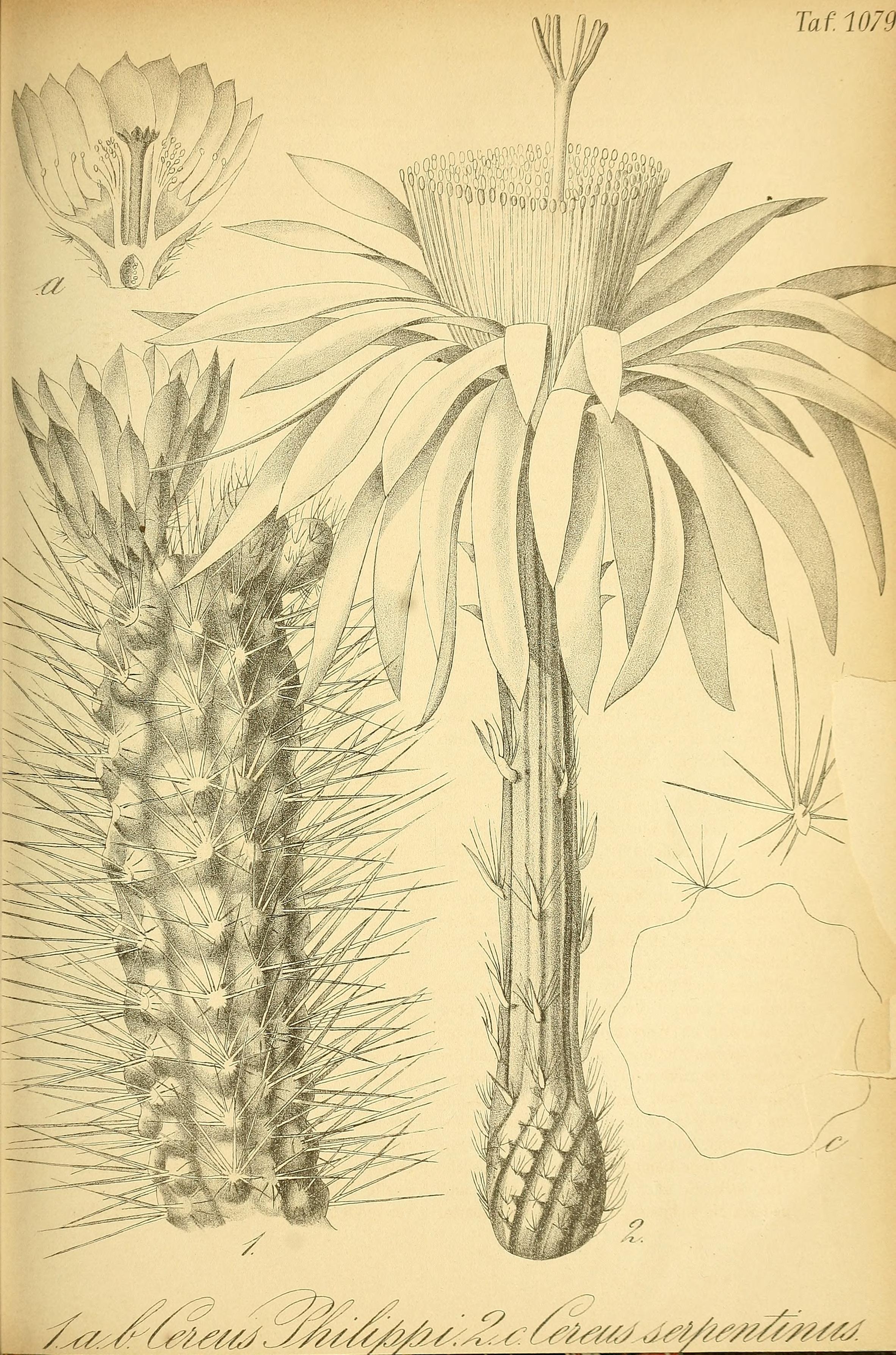 no full size  illustration available (3a)