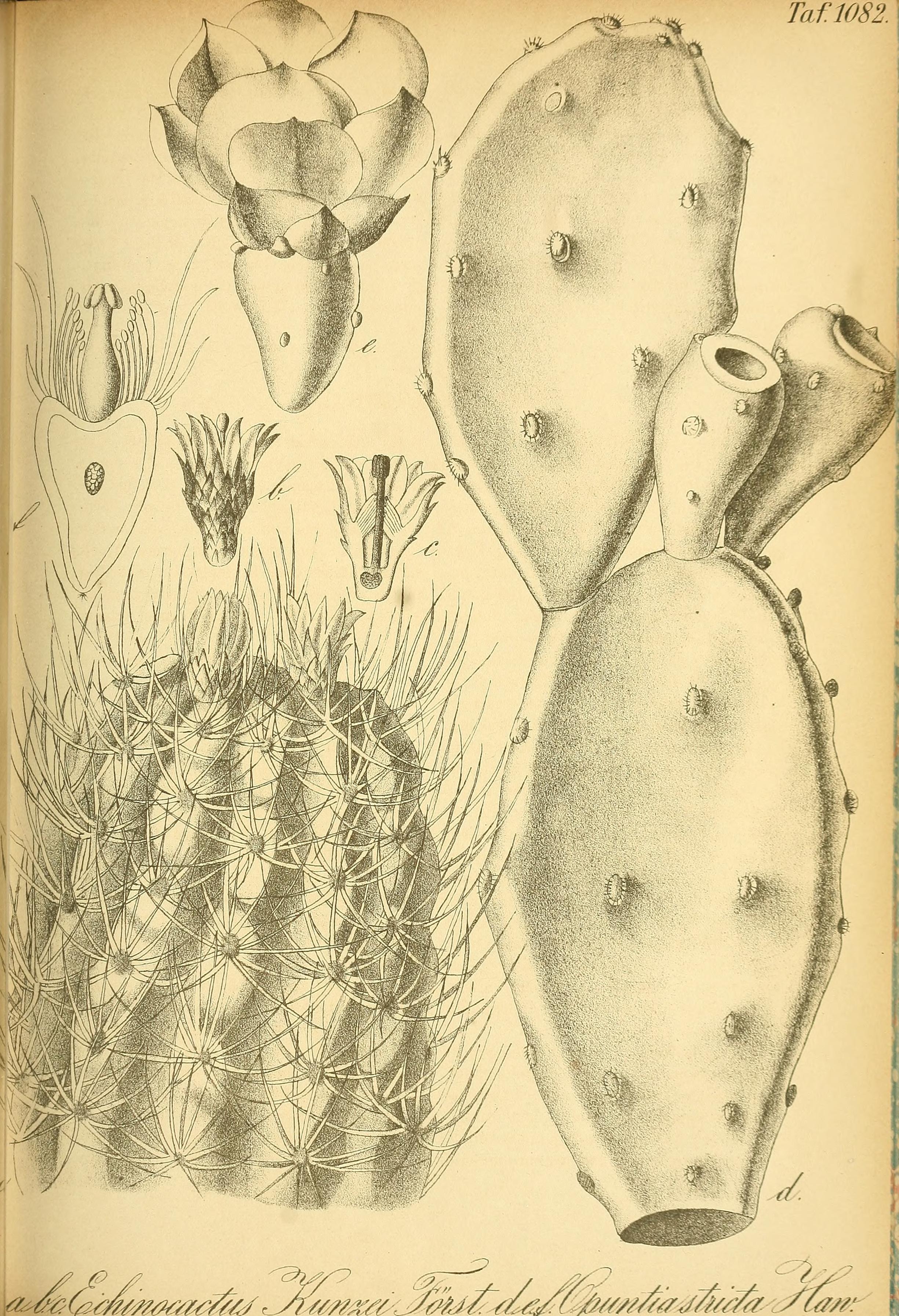 no full size  illustration available (3a)