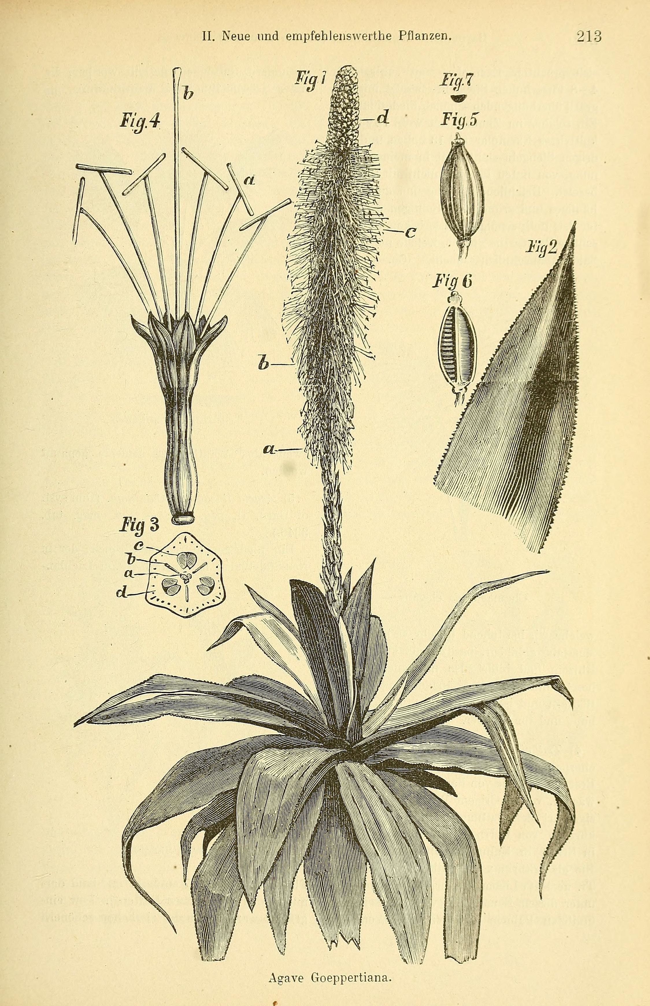 no full size  illustration available (3a)