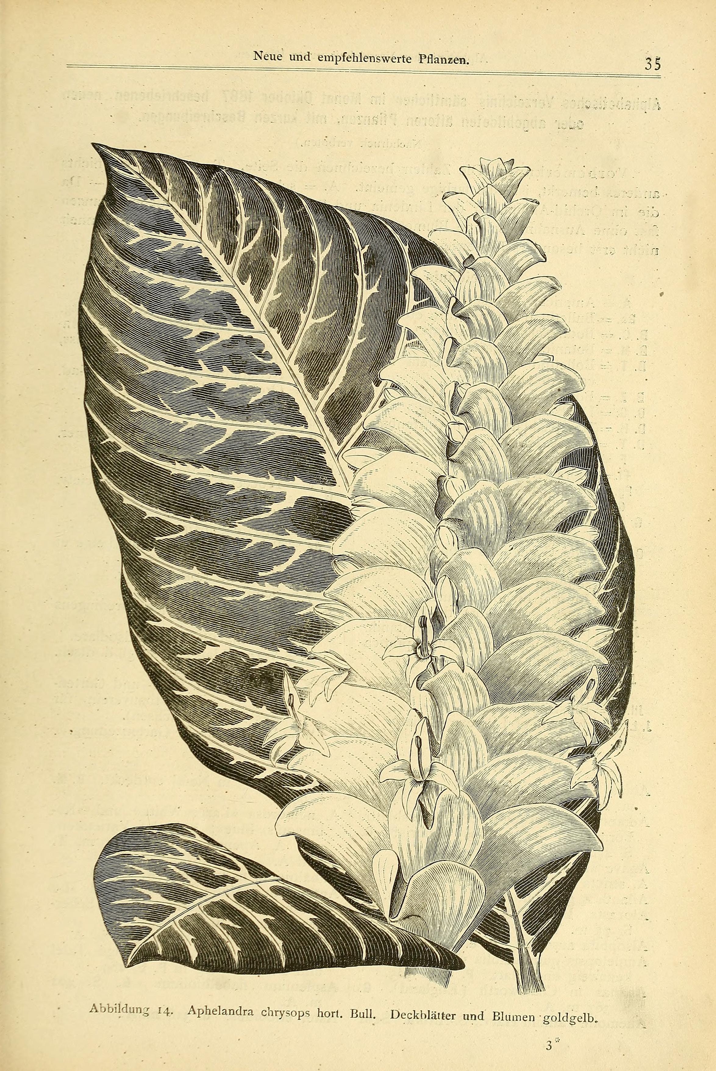 no full size  illustration available (3a)