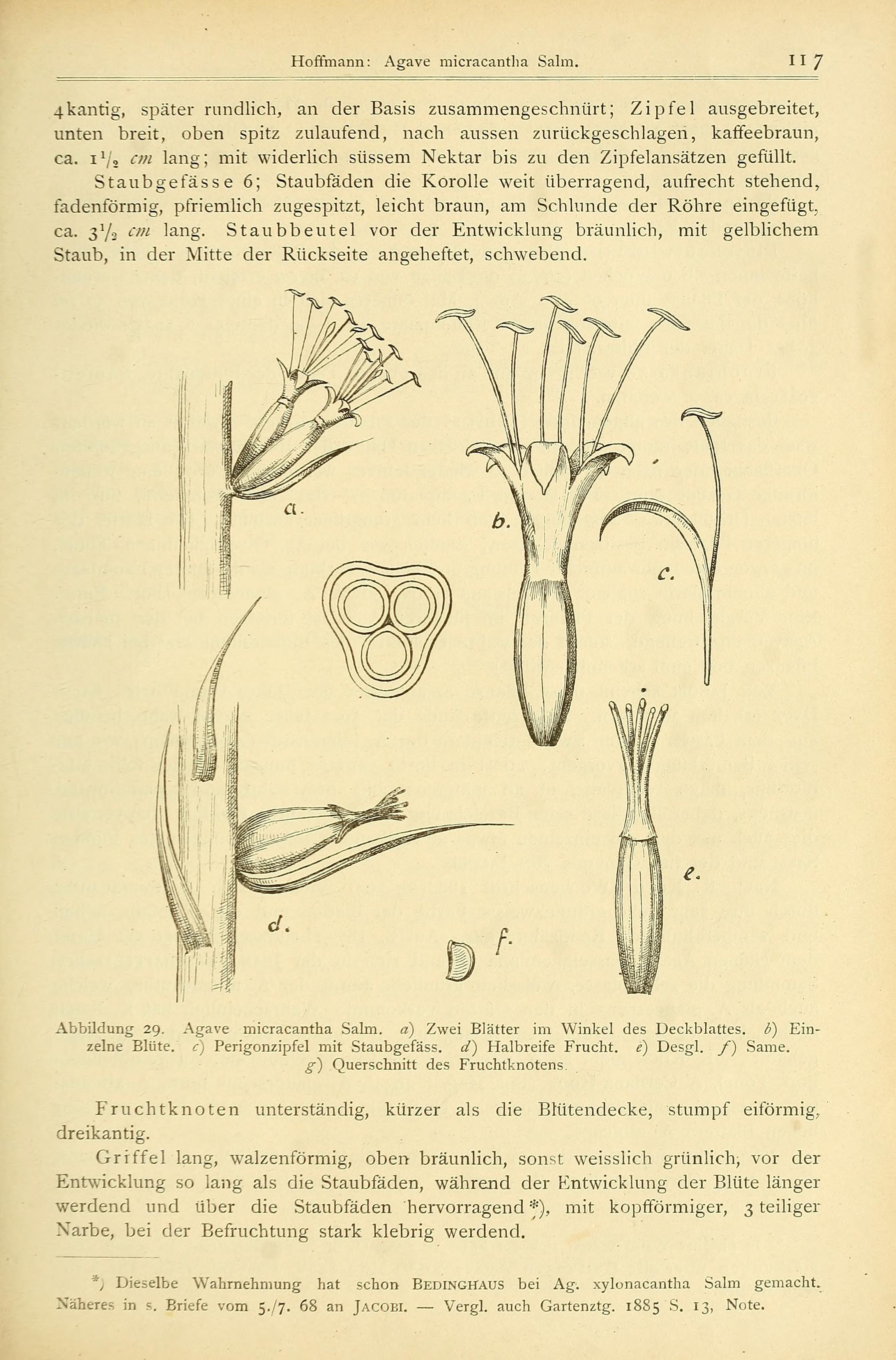 no full size  illustration available (3a)