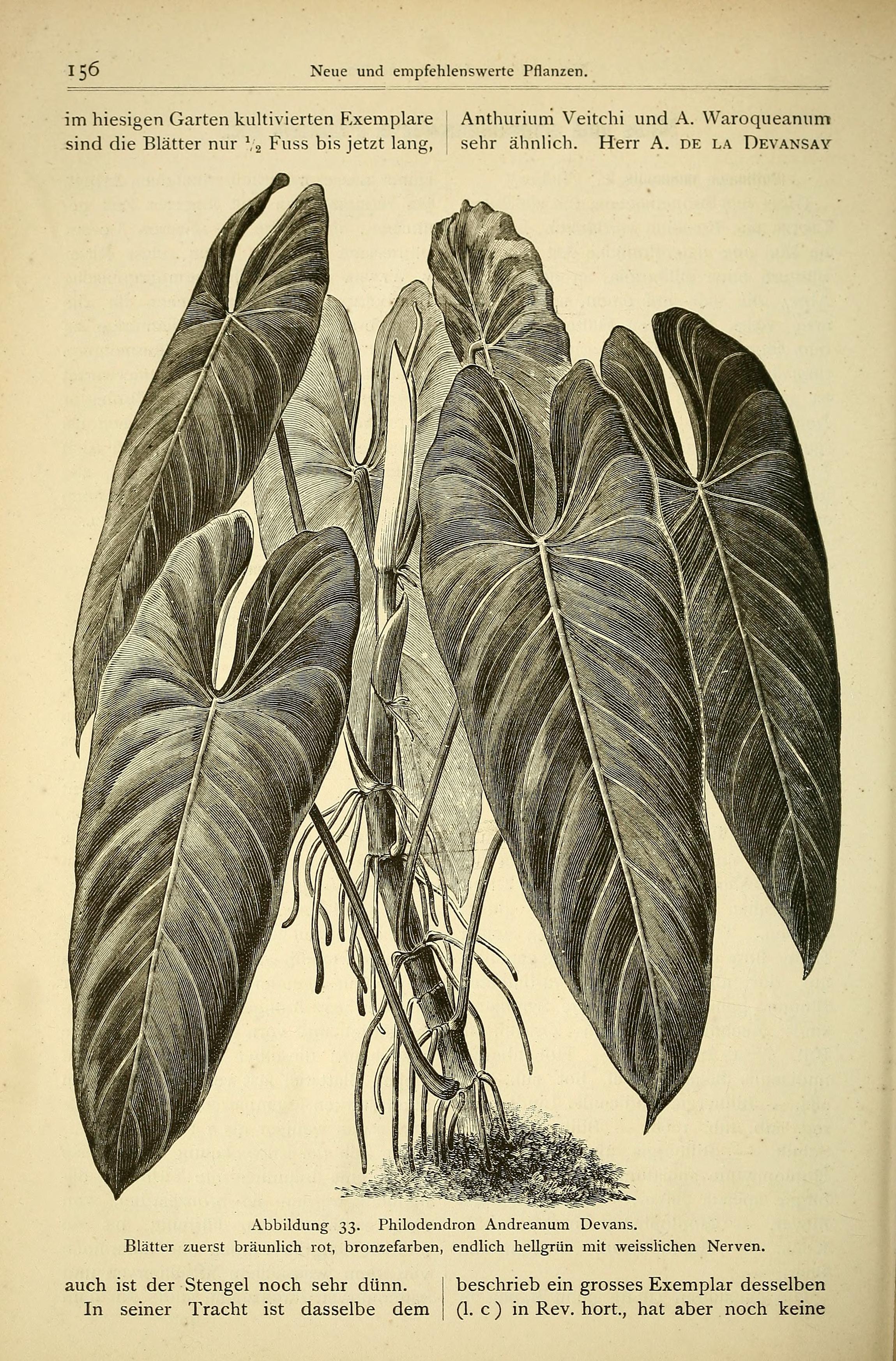 no full size  illustration available (3a)