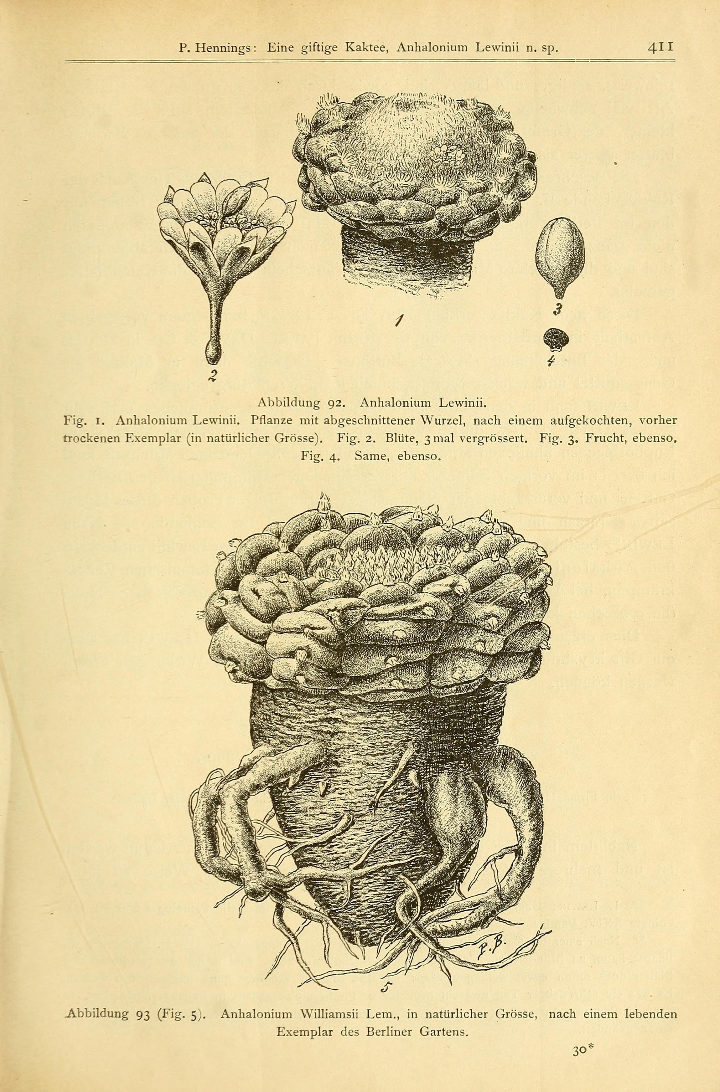 no full size  illustration available (3a)