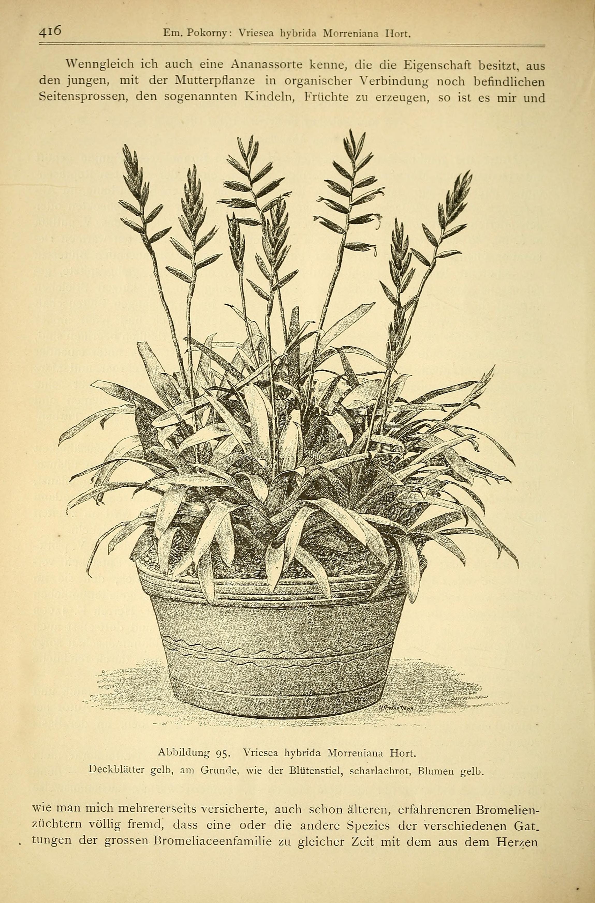 no full size  illustration available (3a)