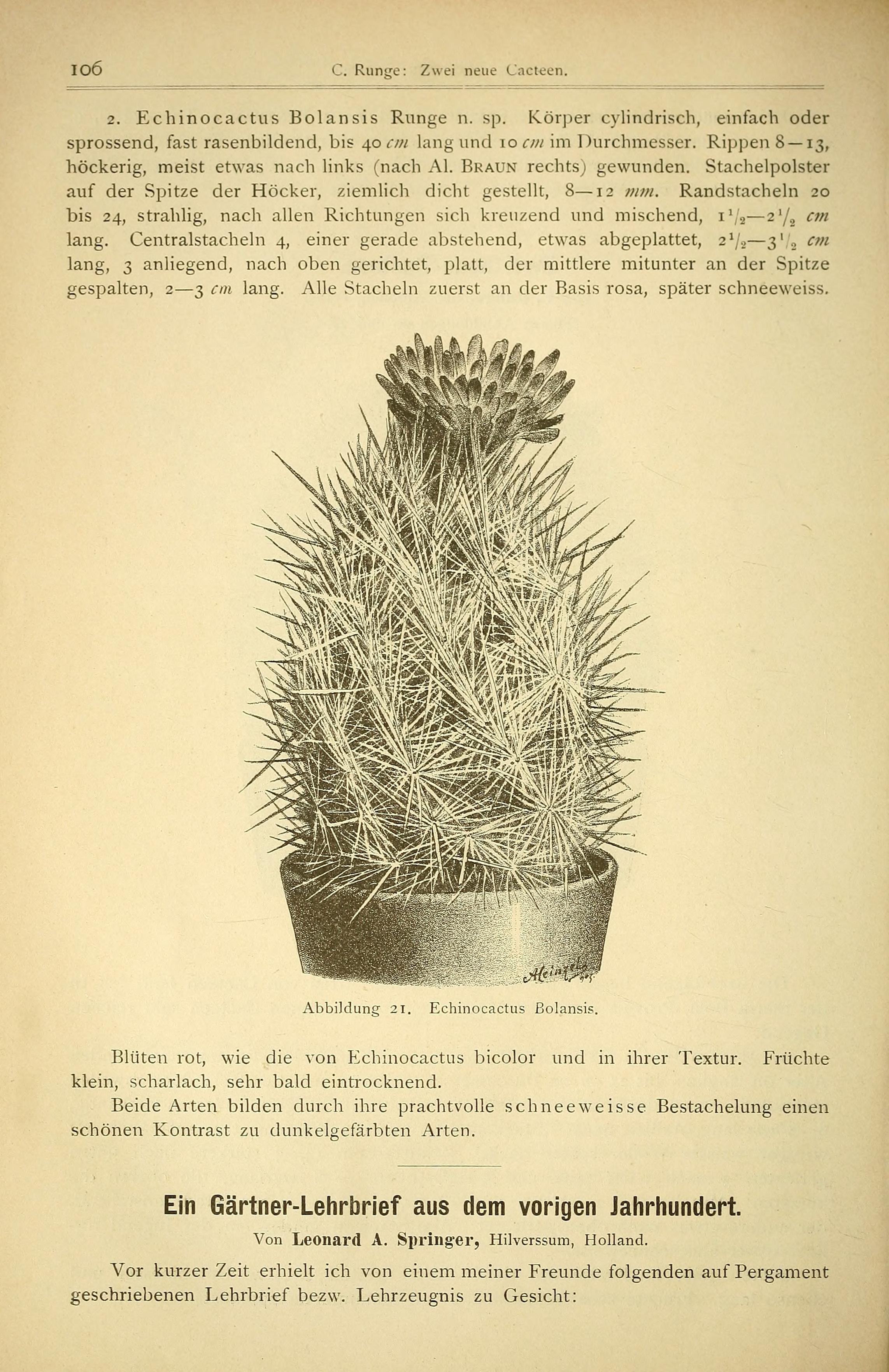 no full size  illustration available (3a)