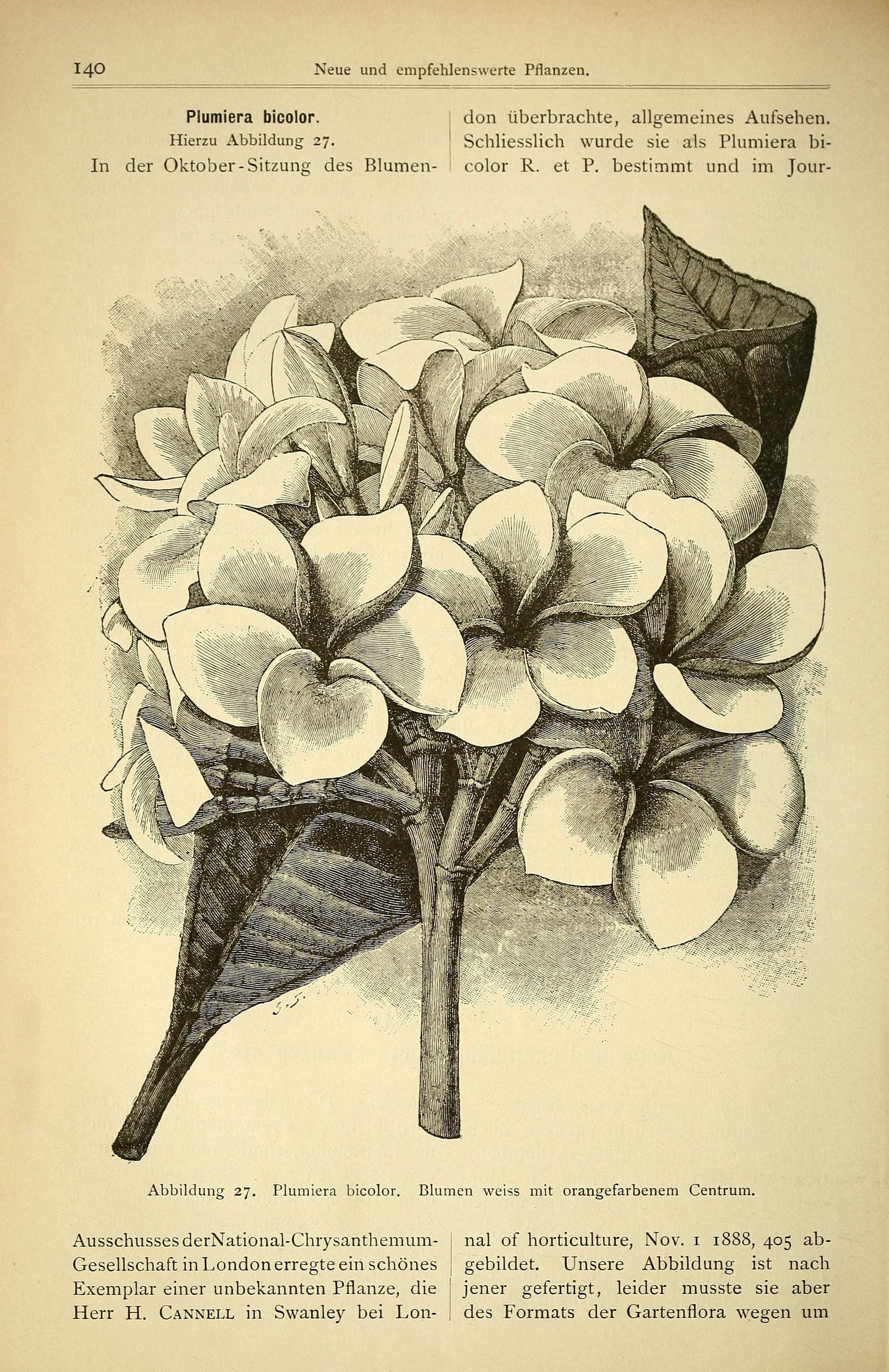 no full size  illustration available (3a)