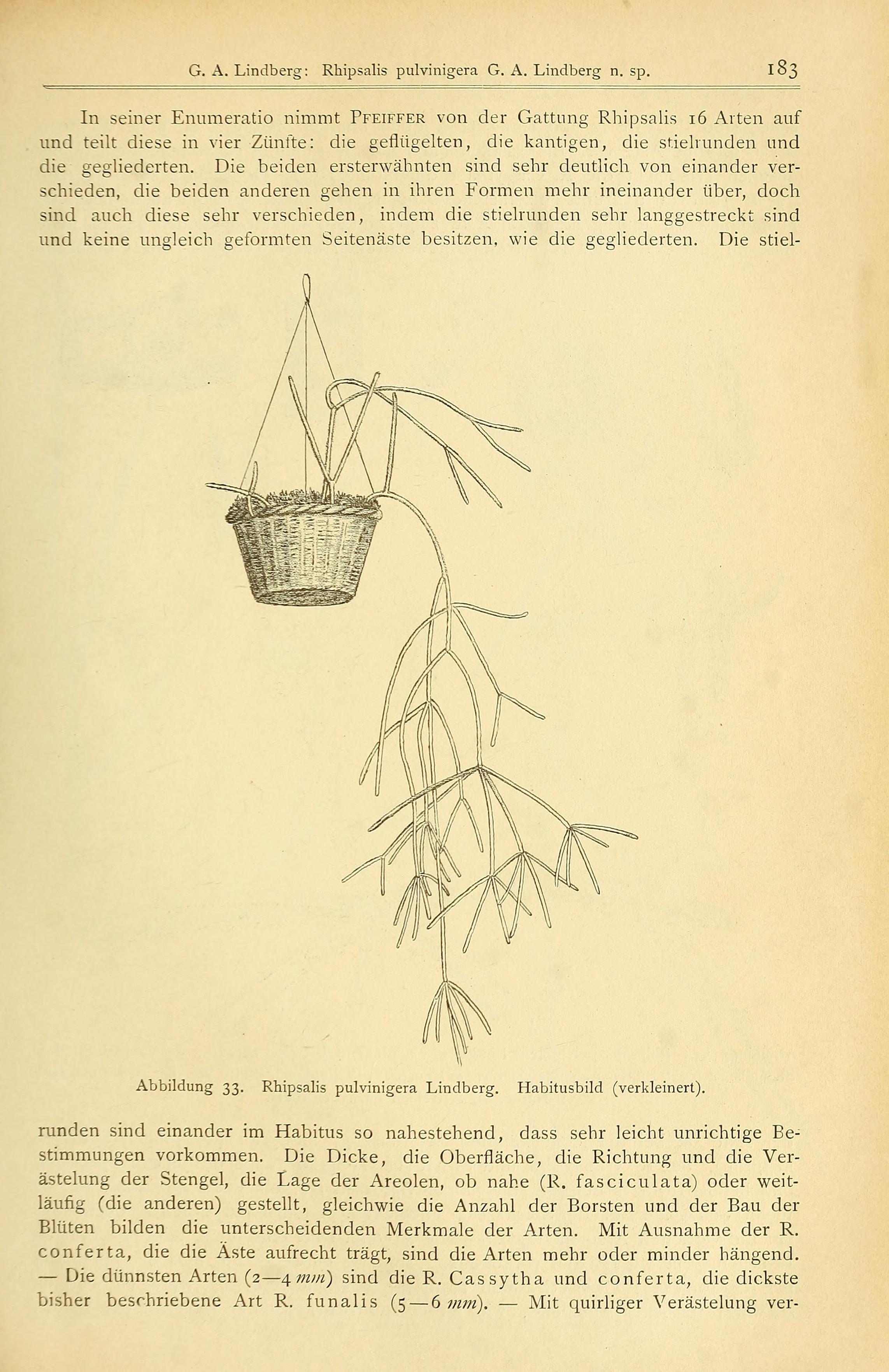 no full size  illustration available (3a)