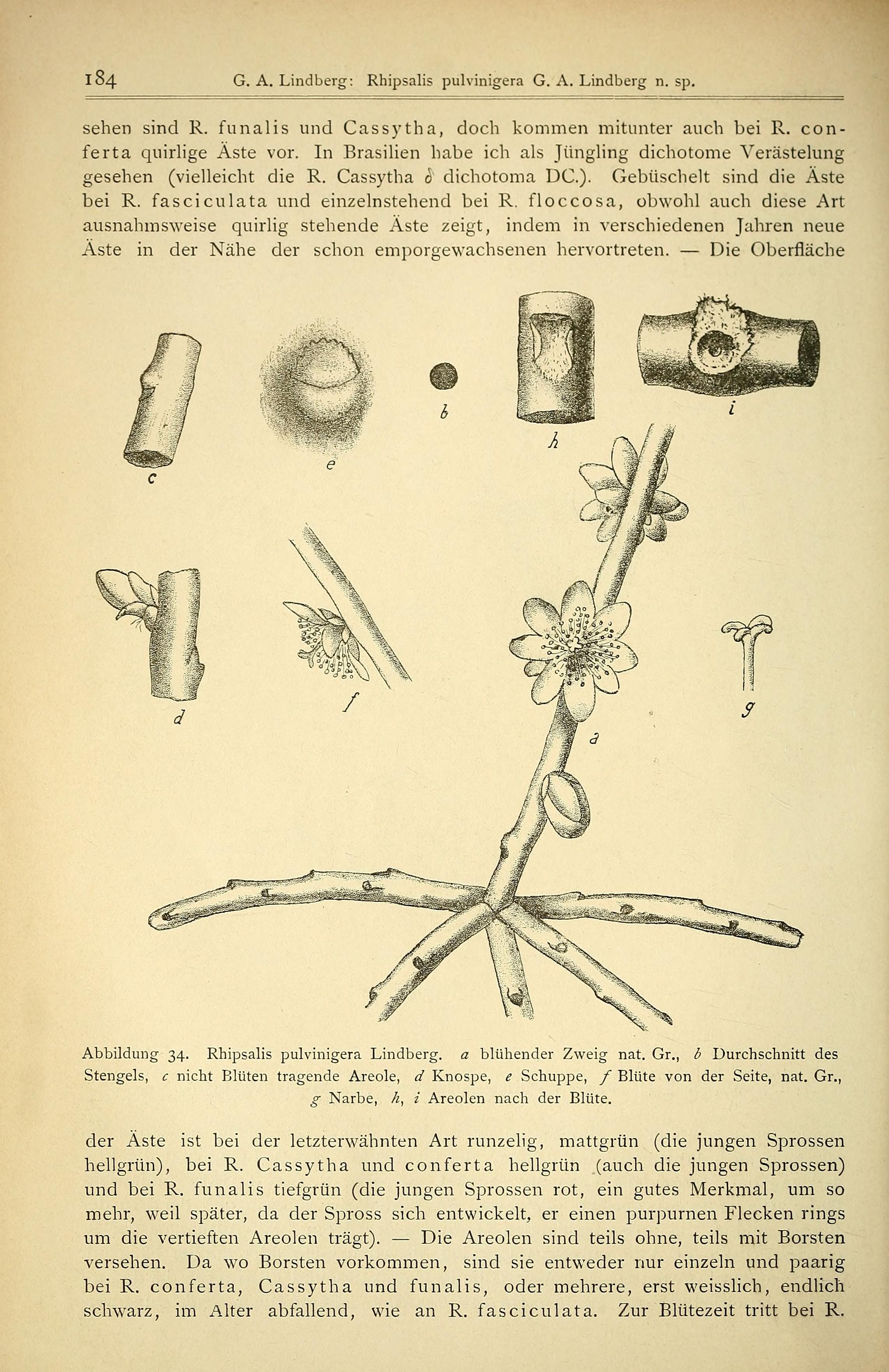 no full size  illustration available (3a)