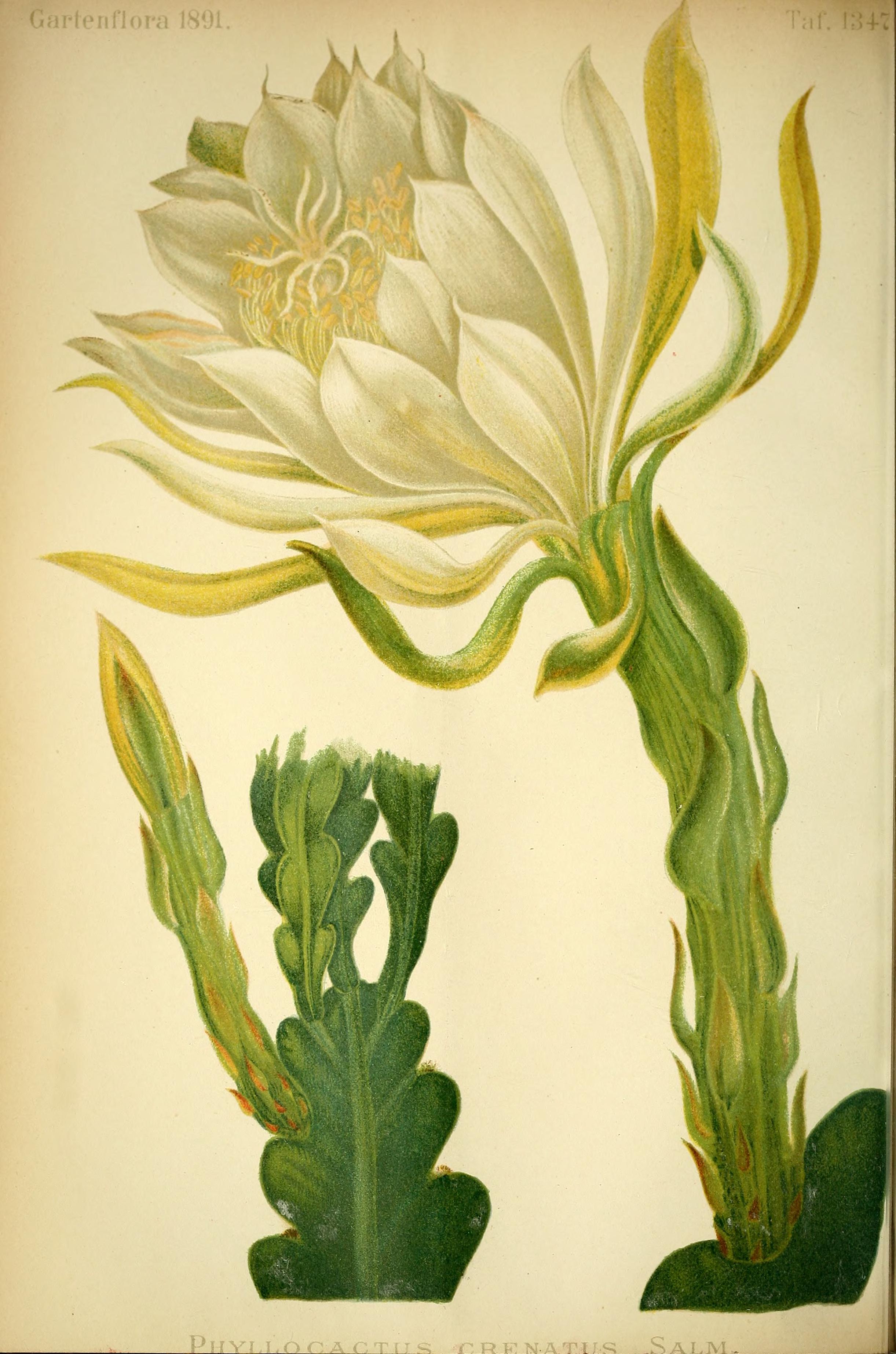 no full size  illustration available (3a)