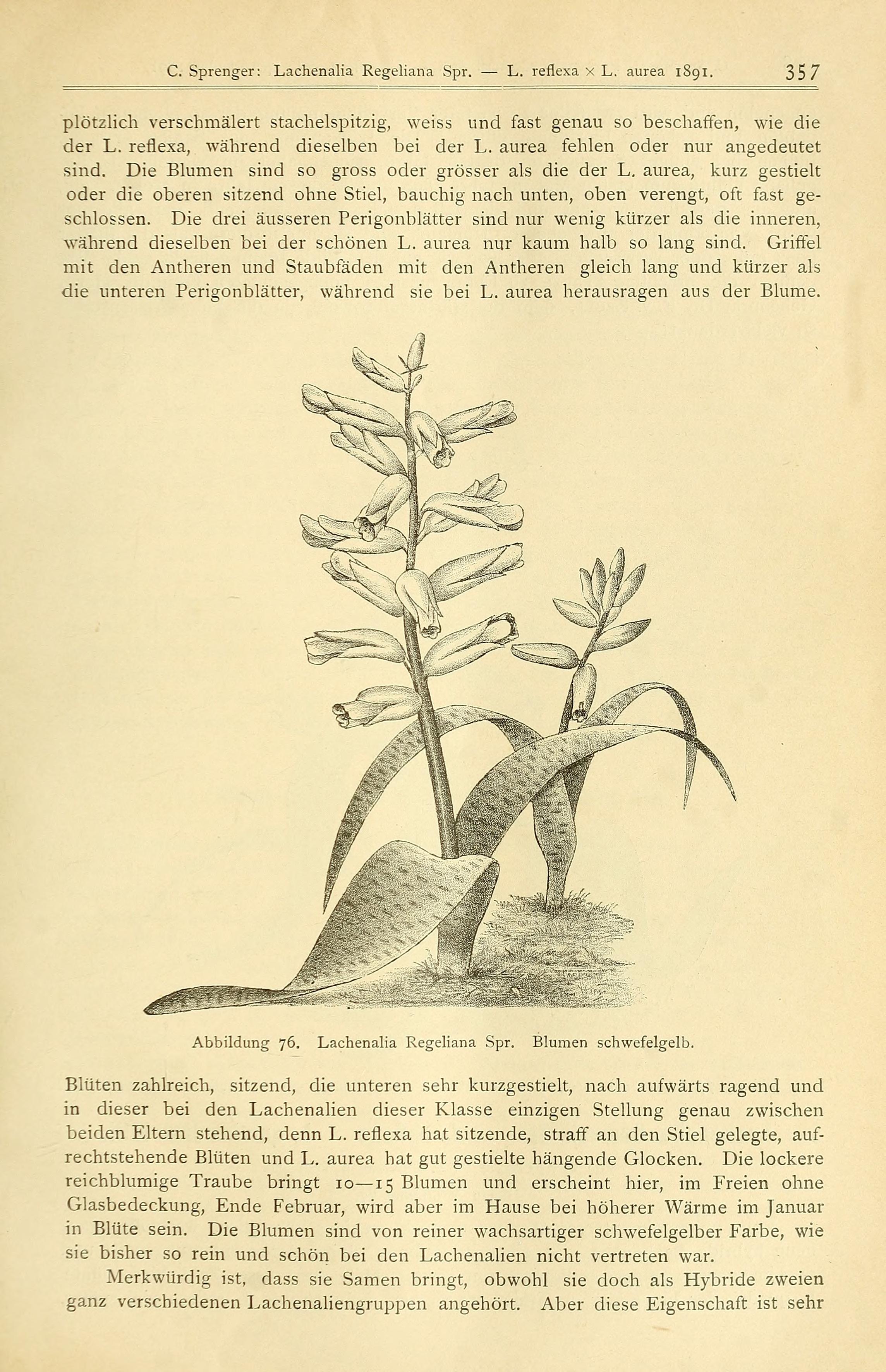 no full size  illustration available (3a)