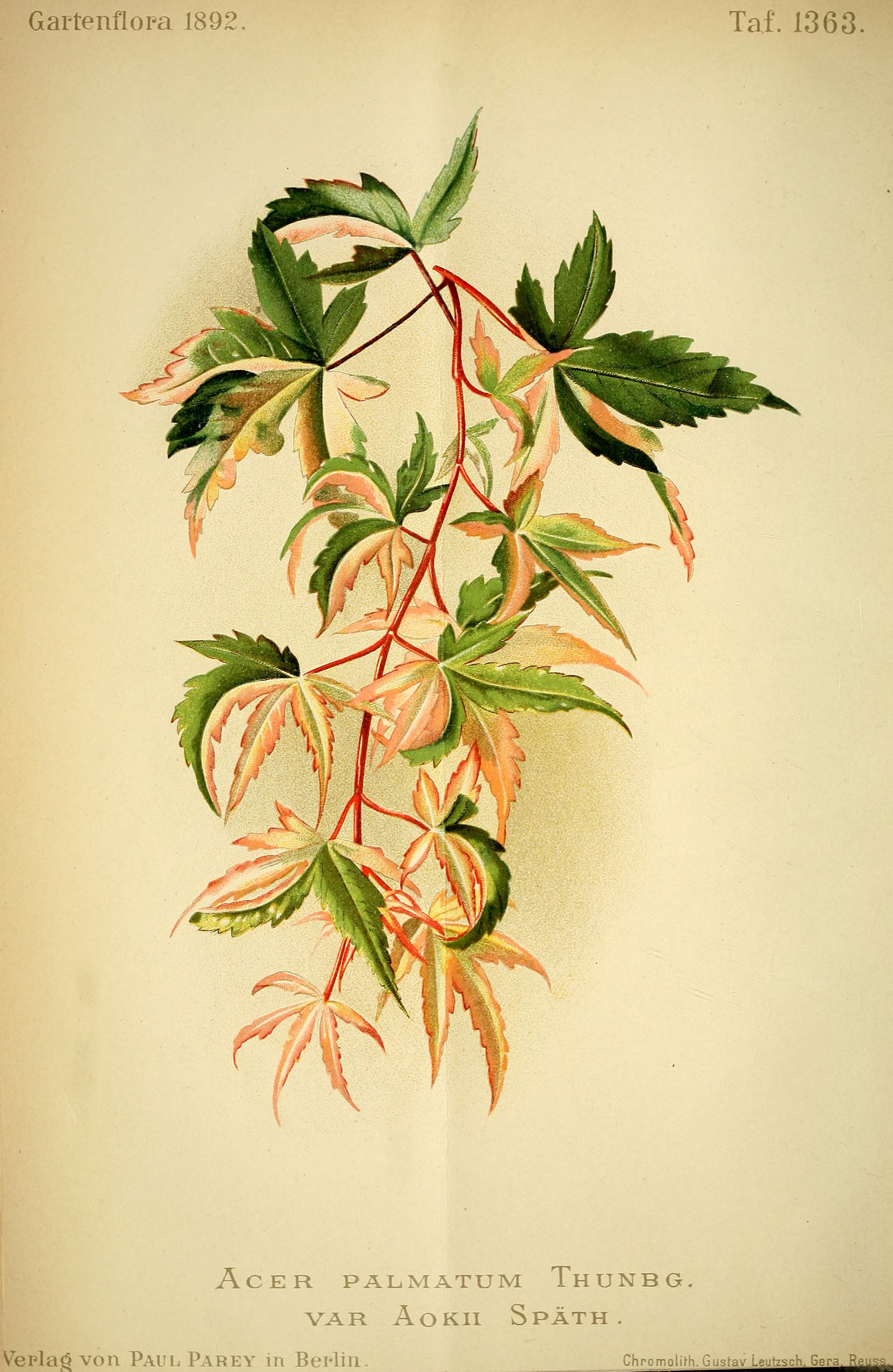 no full size  illustration available (3a)