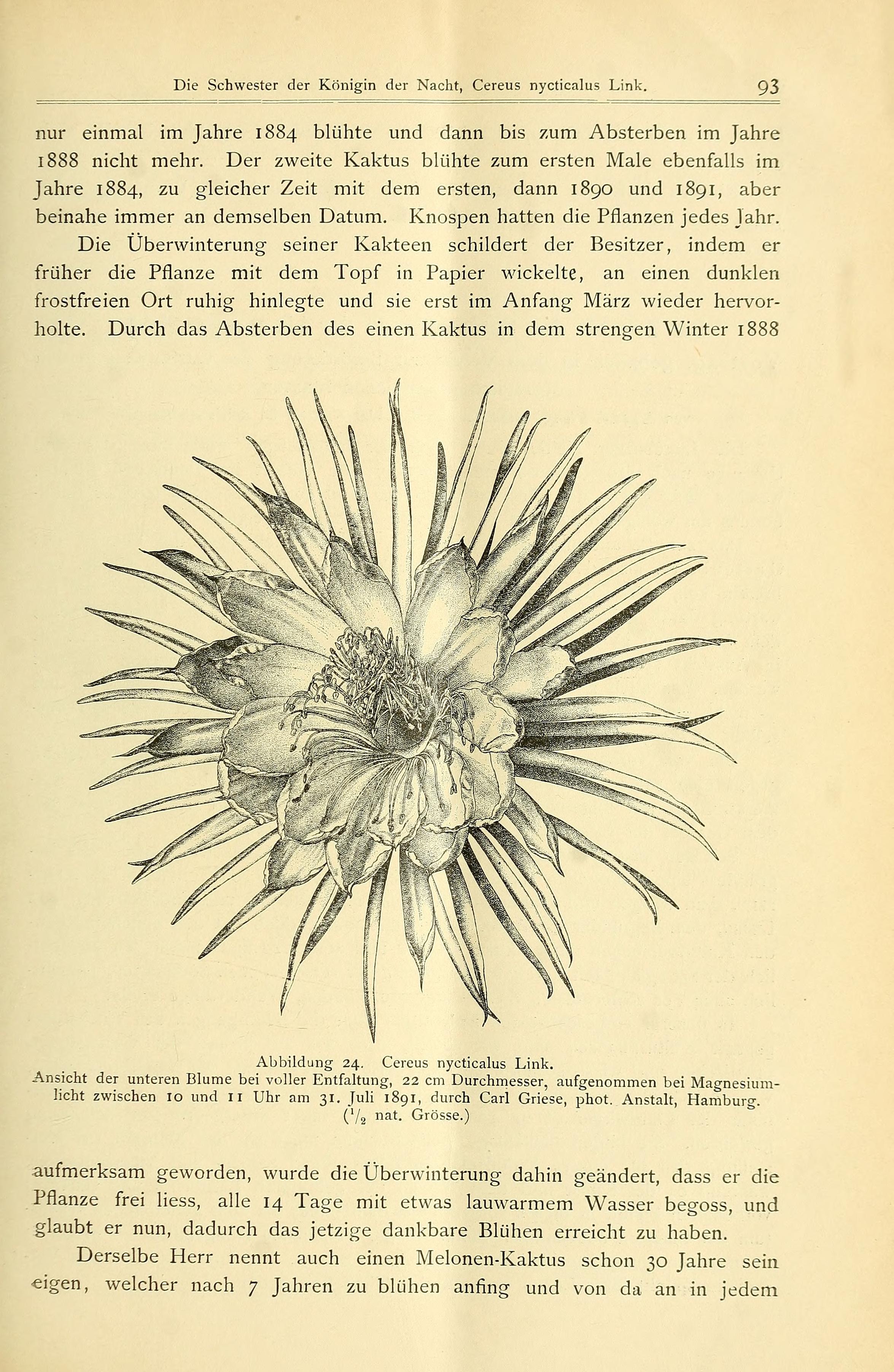 no full size  illustration available (3a)