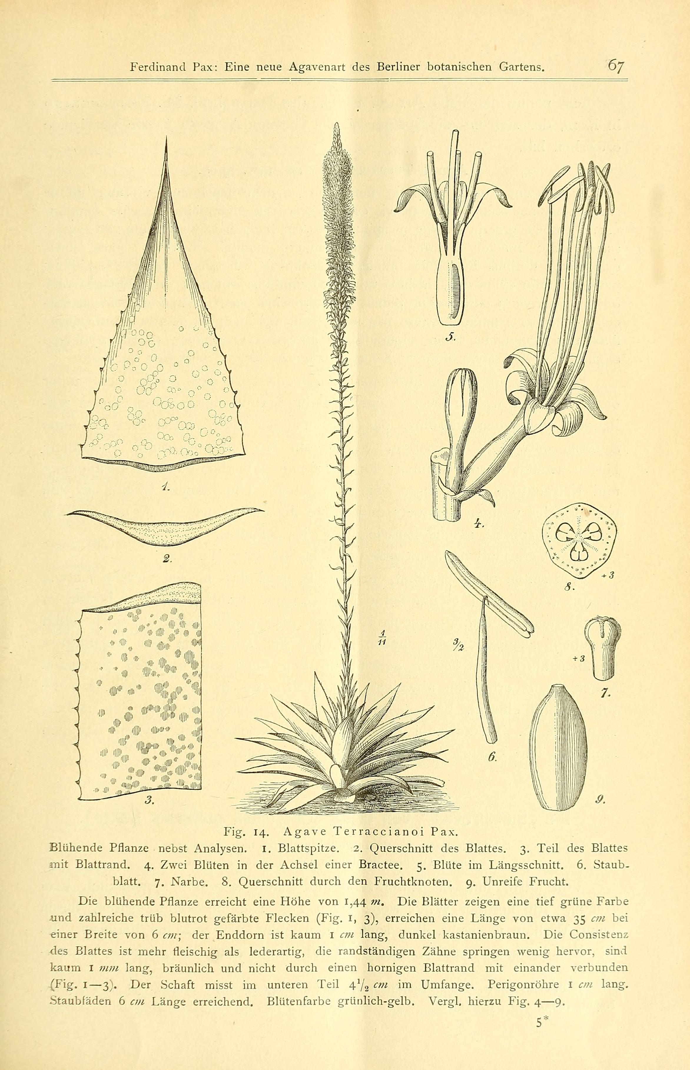 no full size  illustration available (3a)