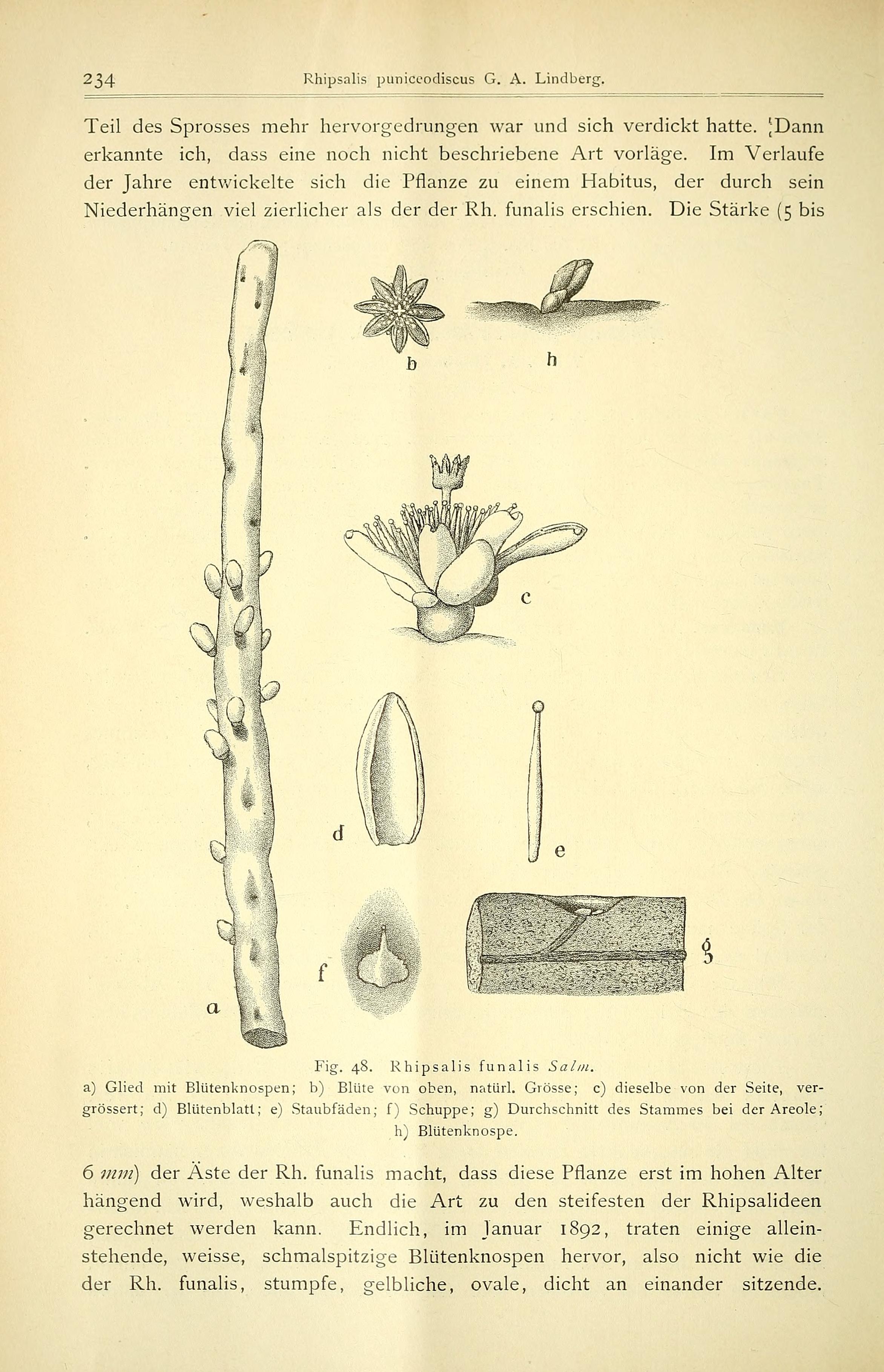 no full size  illustration available (3a)