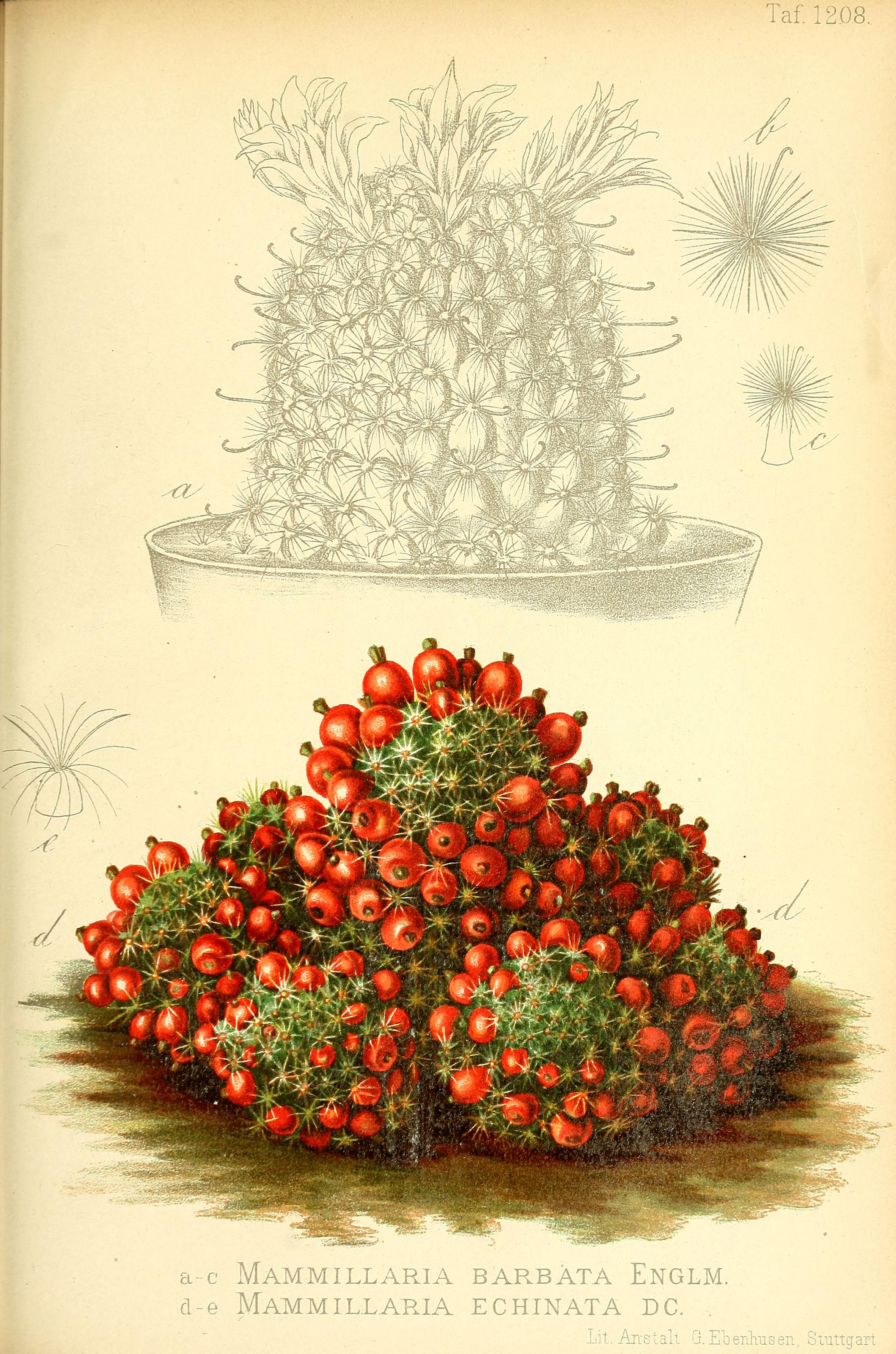 no full size  illustration available (3a)